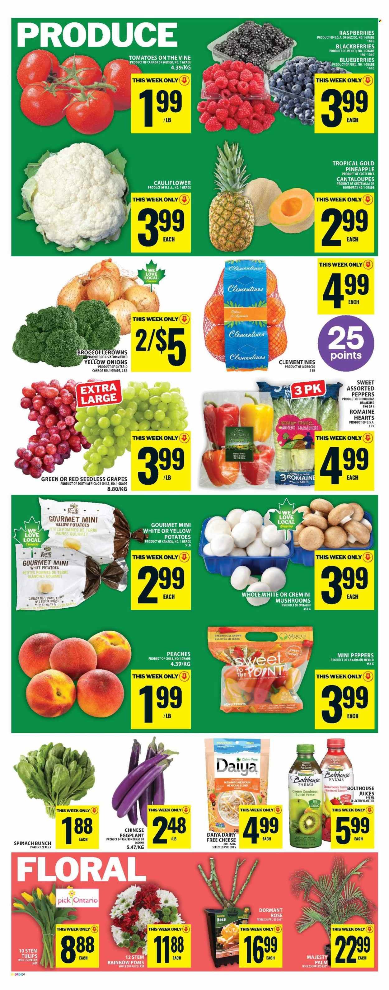 FOOD BASICS flyer - Weekly Flyer (2026-04-09 - 2026-04-15) | 6
