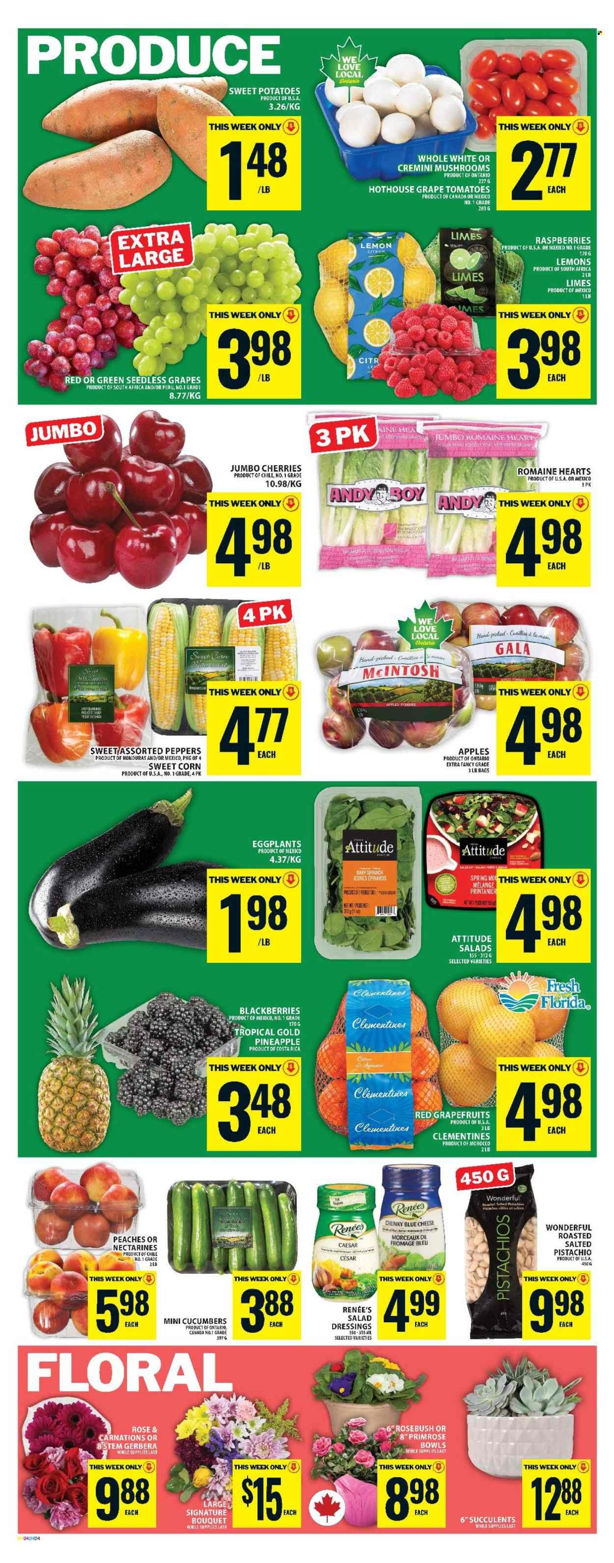 FOOD BASICS flyer - Weekly Flyer