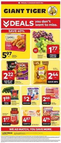 GIANT TIGER flyer - Weekly Flyer