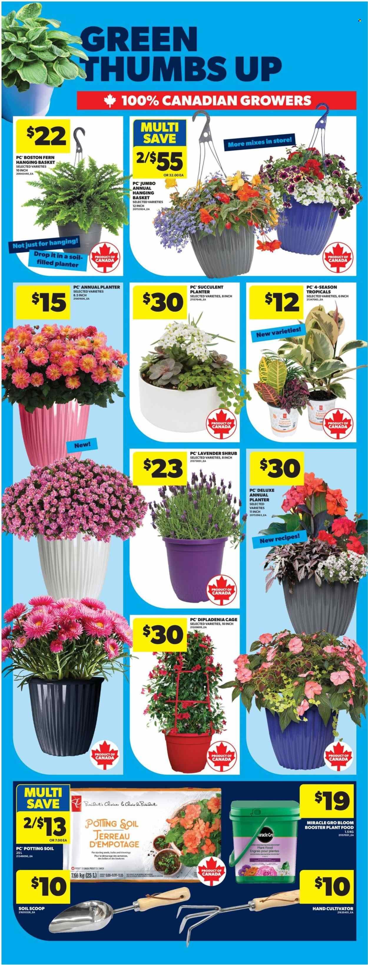 REAL CANADIAN SUPERSTORE flyer - Weekly Flyer (2026-05-21 - 2026-05-27) | 44