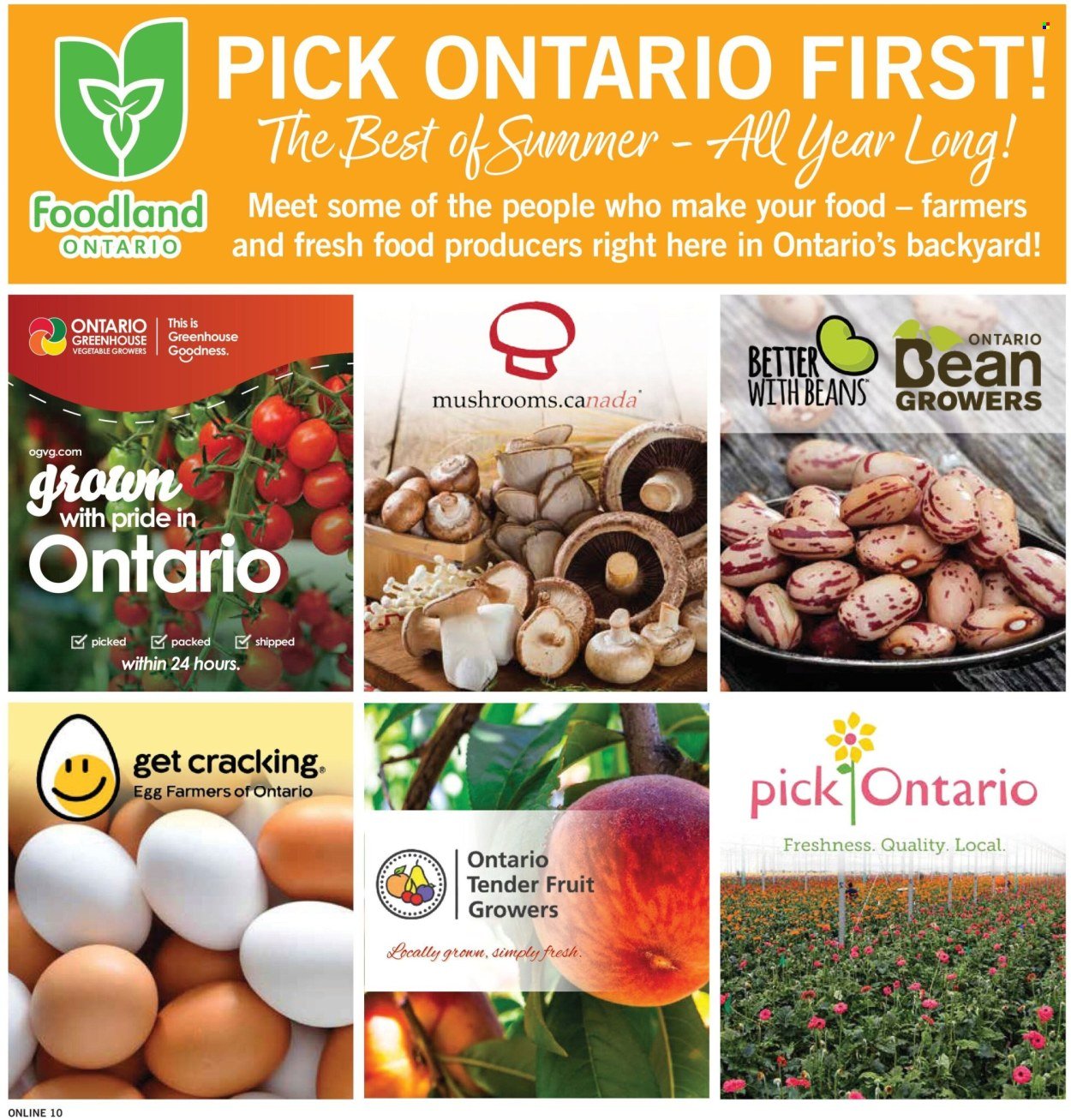 FORTINOS flyer - Weekly Flyer