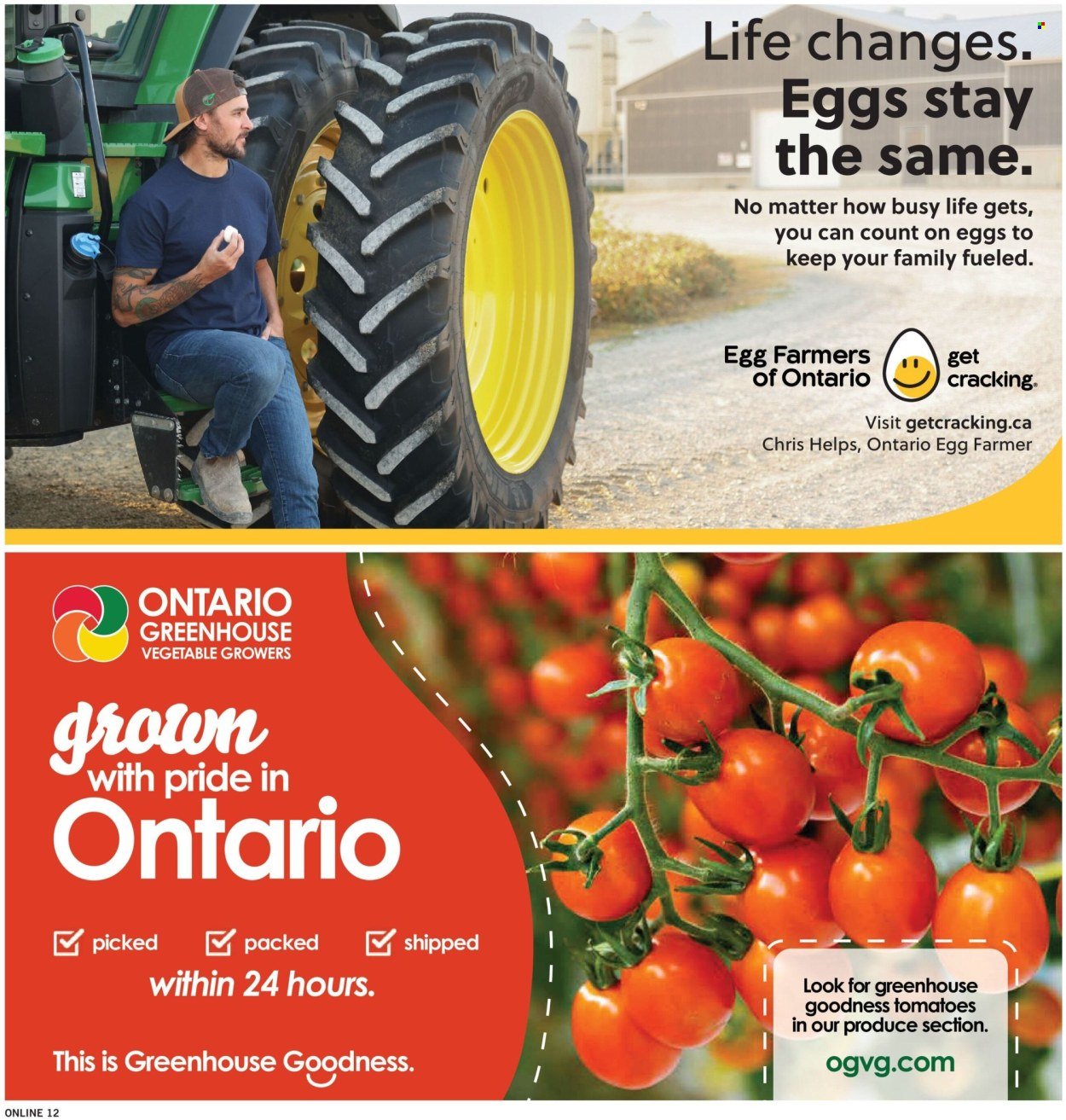 FORTINOS flyer - Weekly Flyer