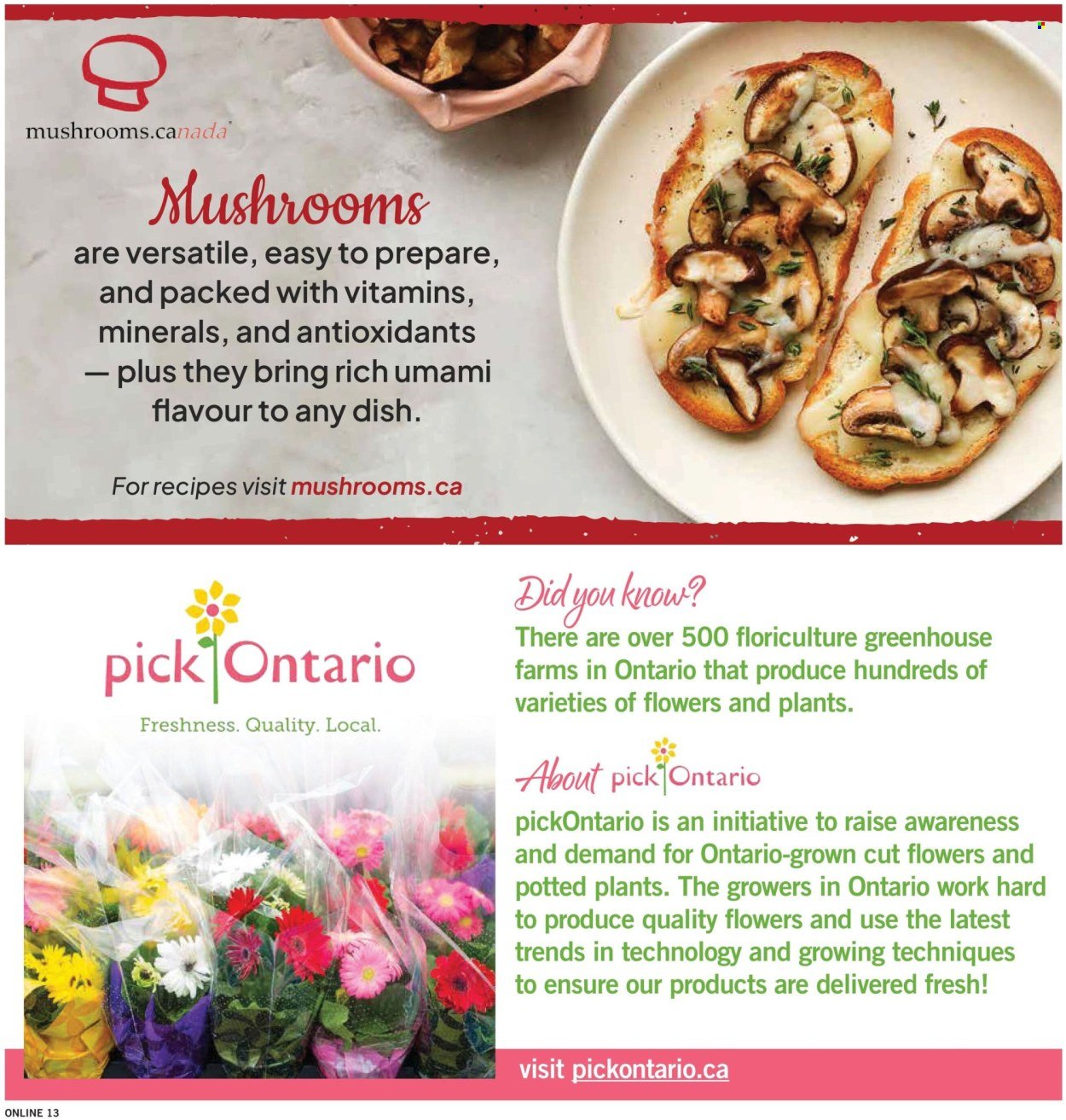 FORTINOS flyer - Weekly Flyer