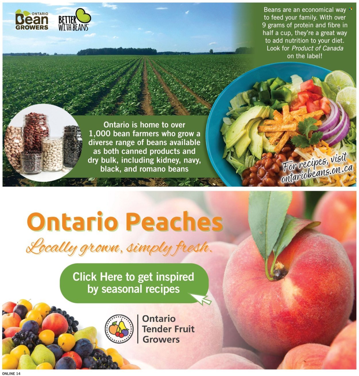 FORTINOS flyer - Weekly Flyer