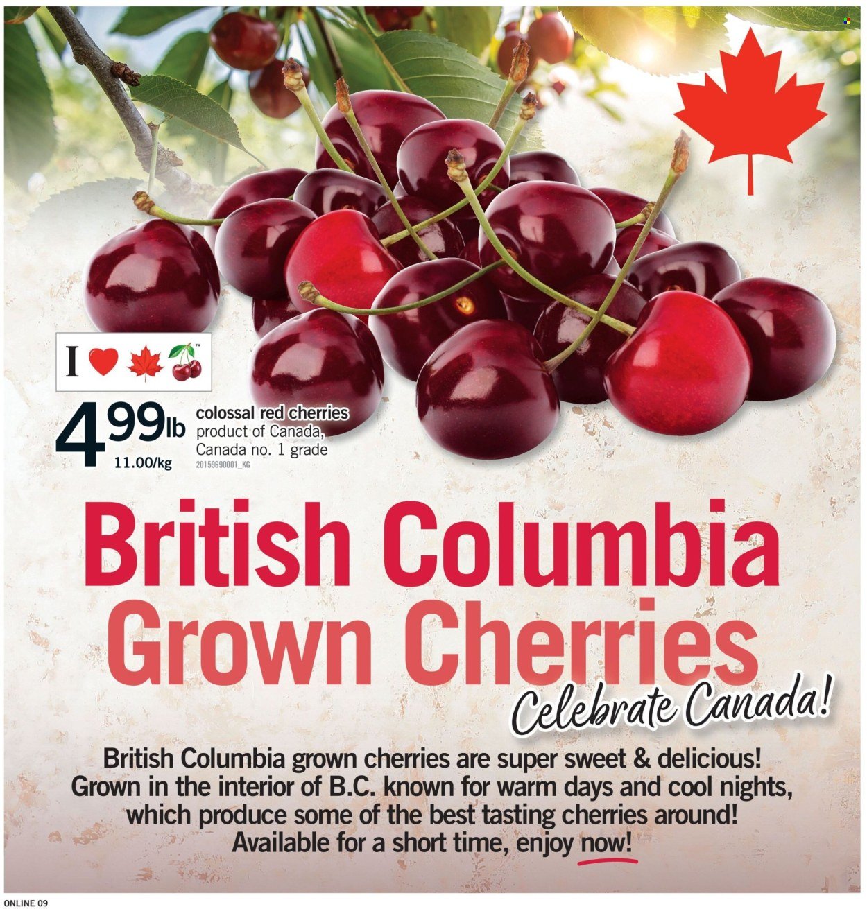 FORTINOS flyer - Weekly Flyer