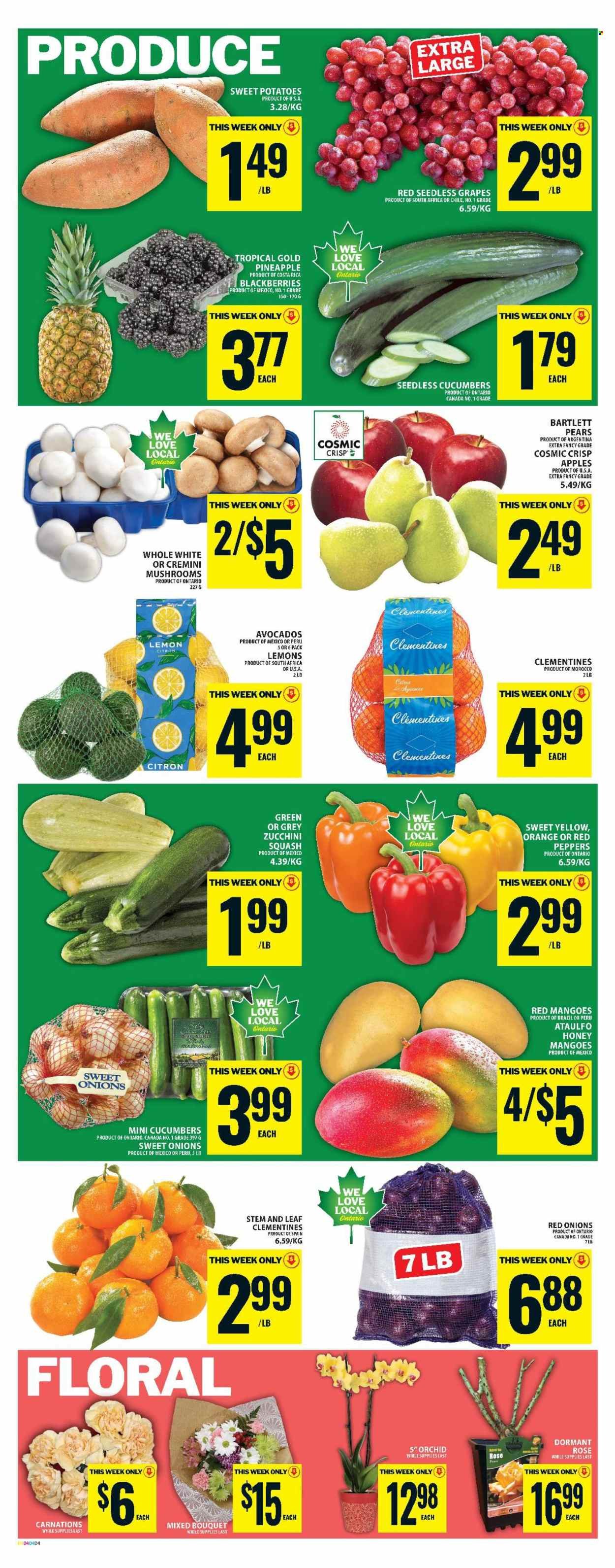 FOOD BASICS flyer - Weekly Flyer (2026-04-30 - 2026-05-06) | 6