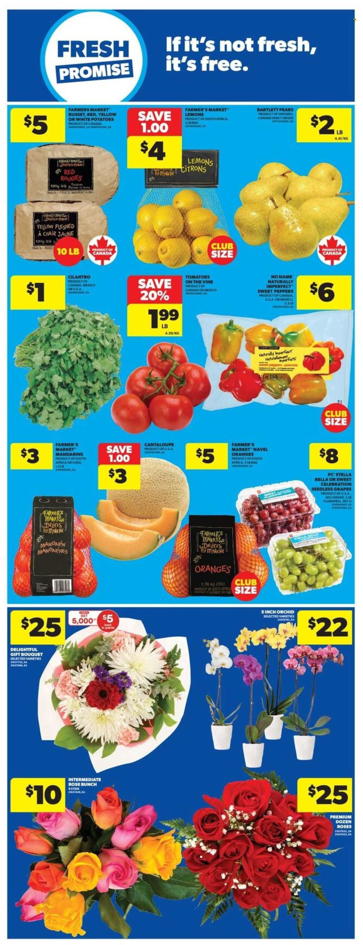 REAL CANADIAN SUPERSTORE flyer - Weekly Flyer (2025-11-06 - 2025-11-12) | 10