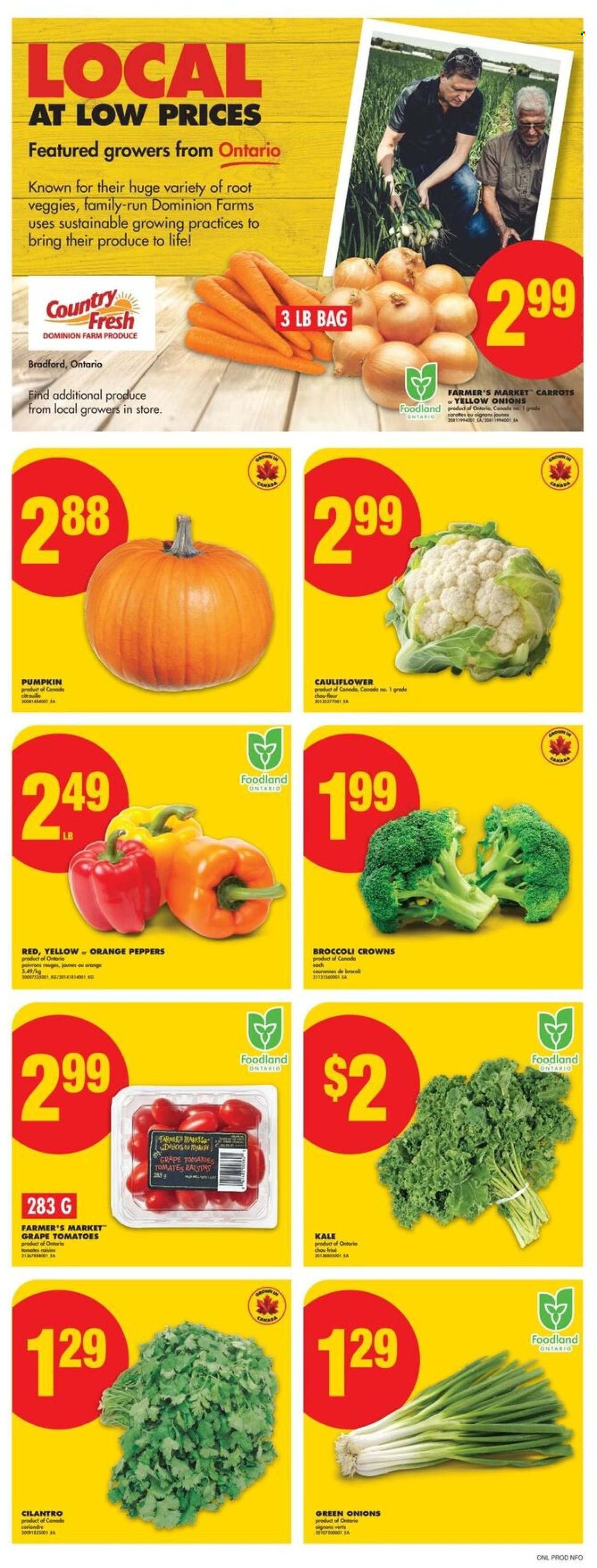 NO FRILLS flyer - Weekly Flyer