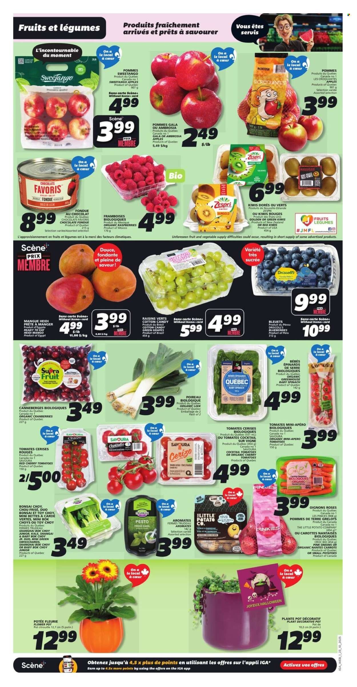 IGA flyer - Weekly eFlyer (2025-10-23 - 2025-10-29) | 3