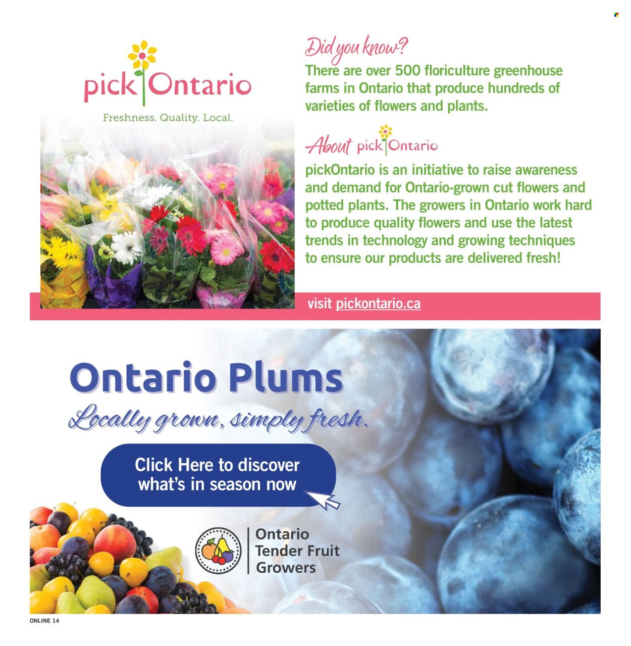 FORTINOS flyer - Weekly Flyer