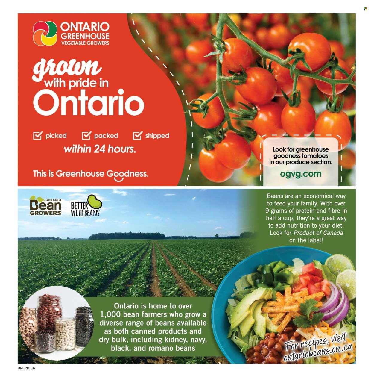 FORTINOS flyer - Weekly Flyer