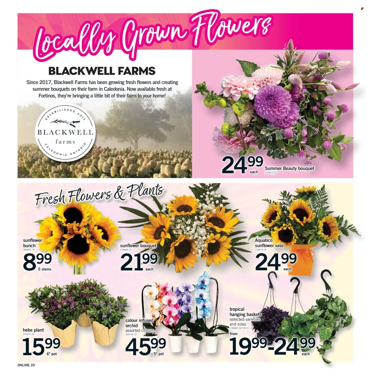 FORTINOS flyer - Weekly Flyer