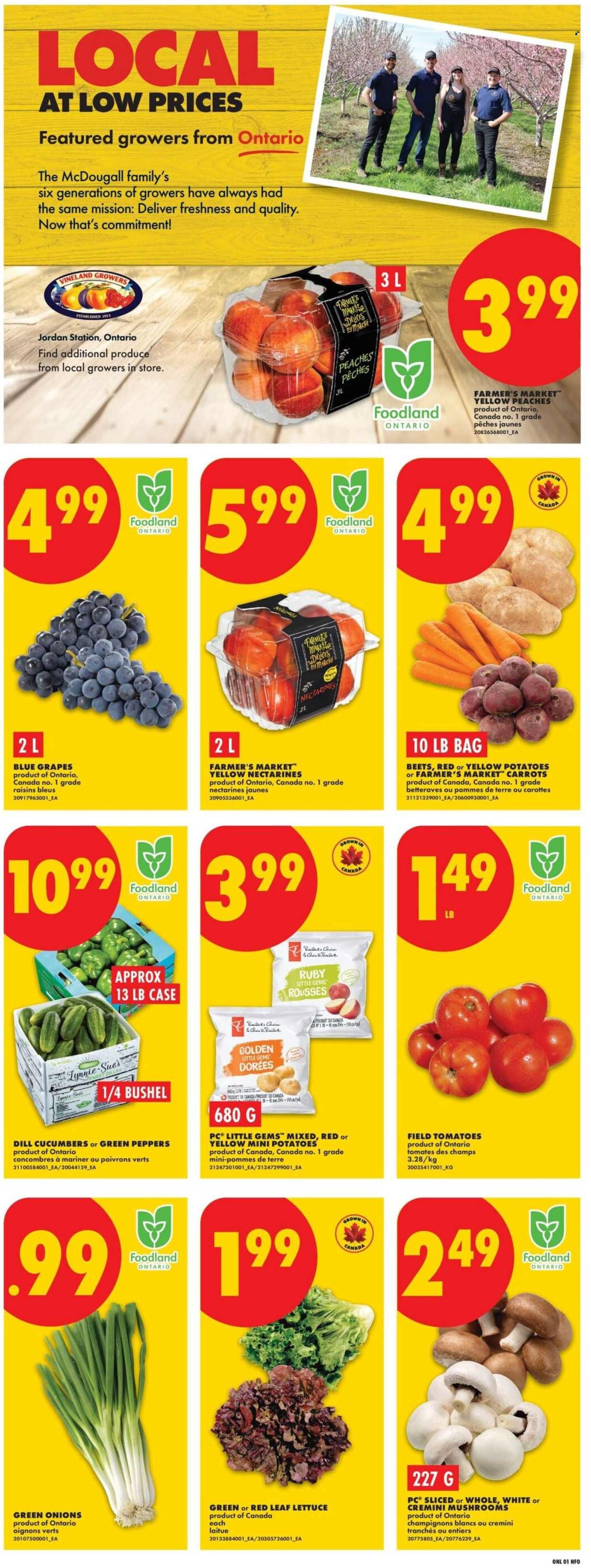 NO FRILLS flyer - Weekly Flyer
