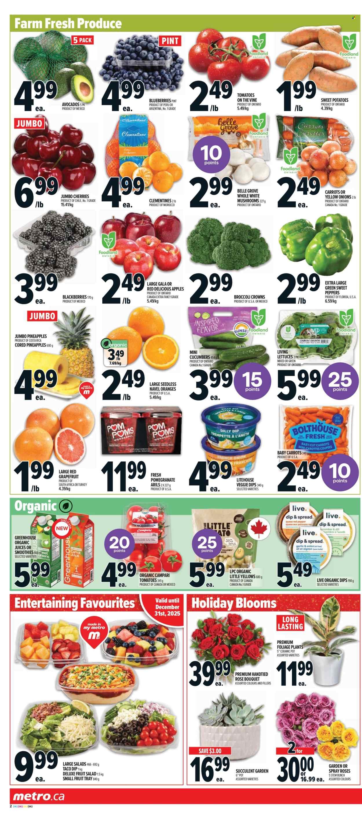 METRO flyer - Weekly Flyer (2025-12-25 - 2025-12-31) | 5