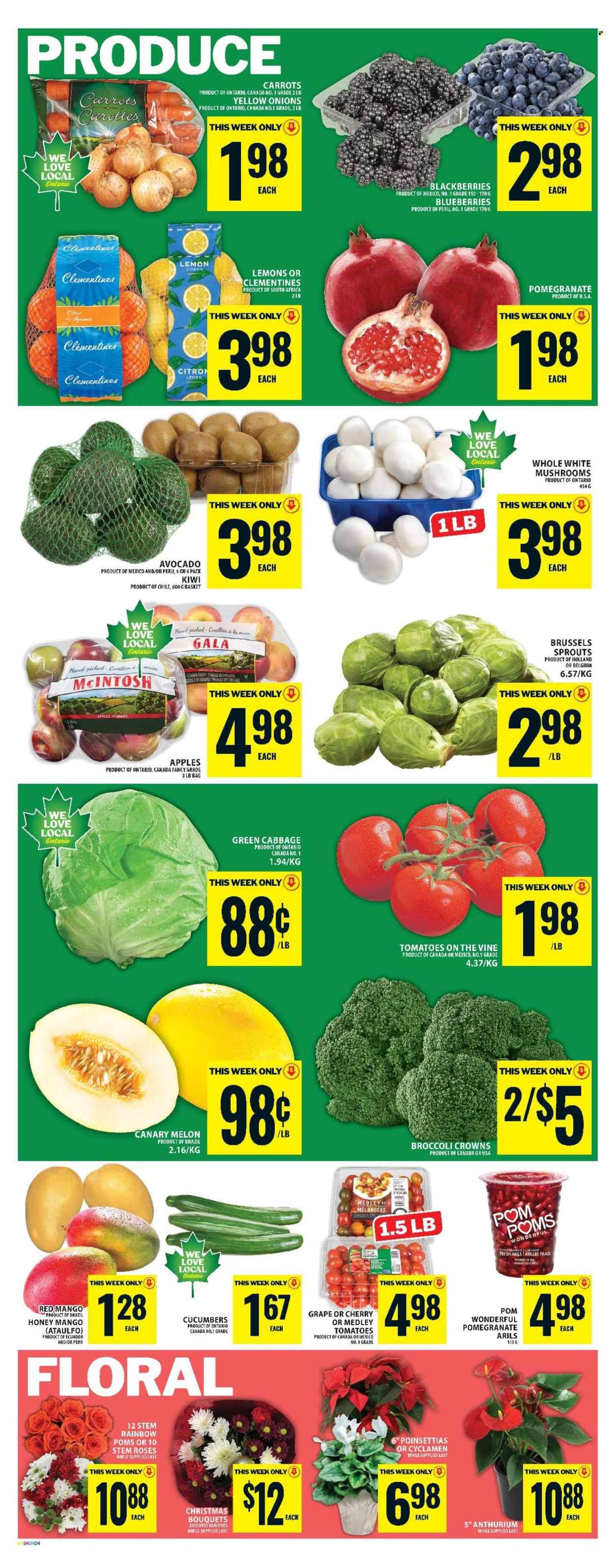 FOOD BASICS flyer - Weekly Flyer (2025-12-04 - 2025-12-10) | 7