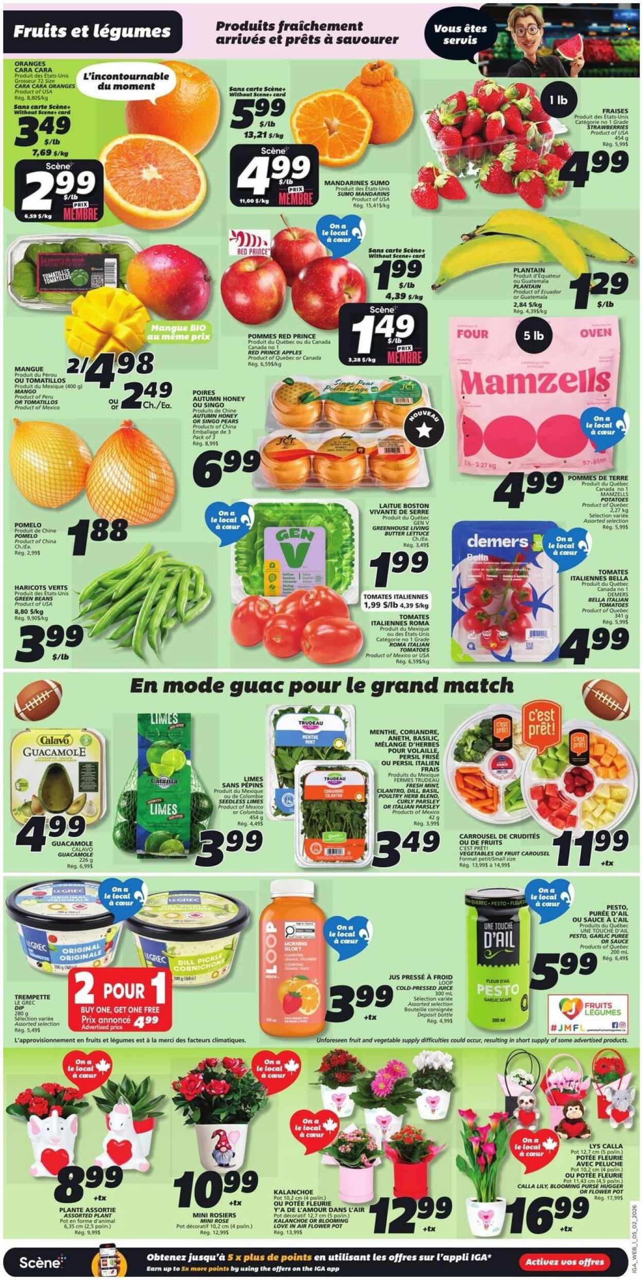 IGA flyer - Weekly eFlyer (2026-02-05 - 2026-02-11) | 3