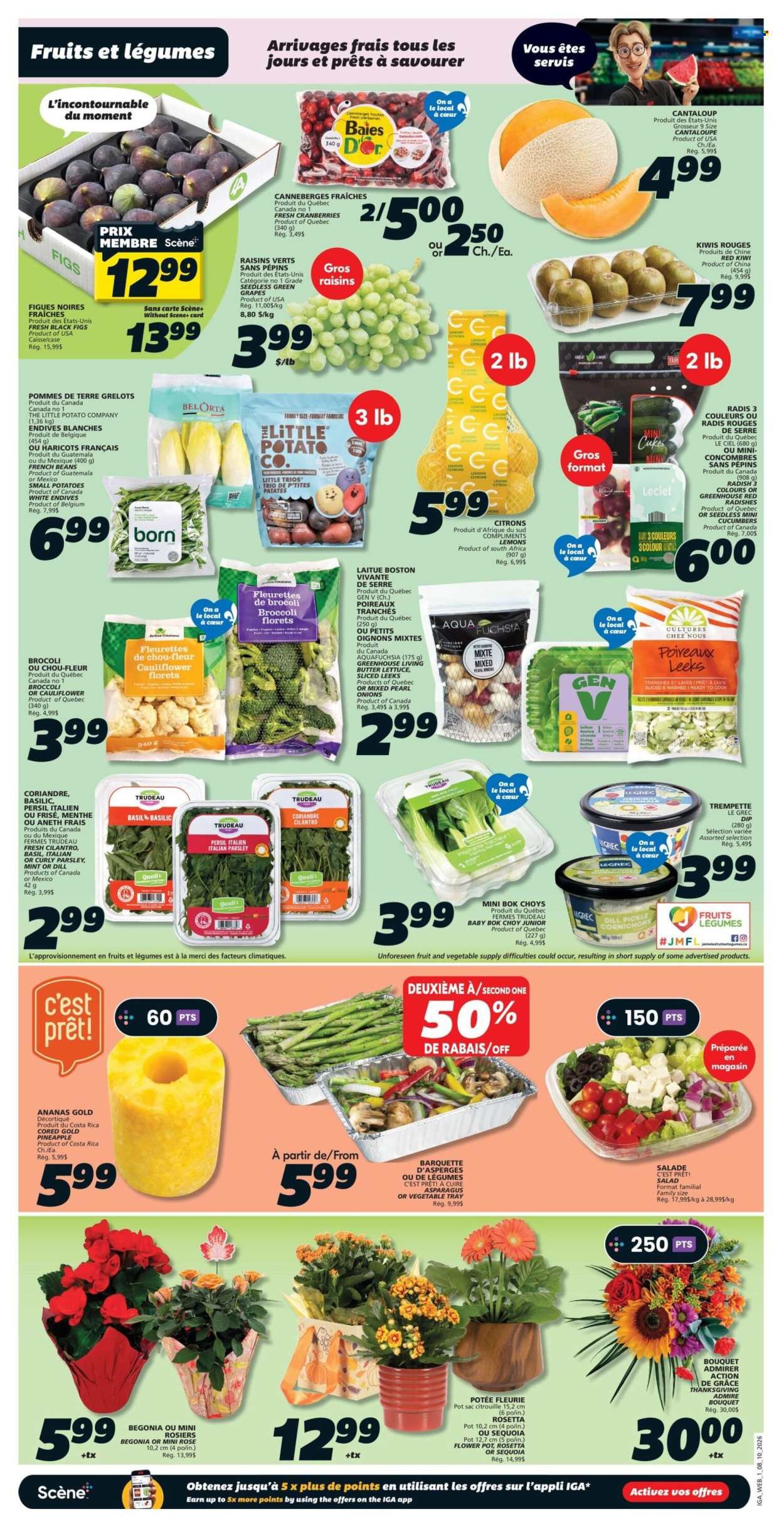 IGA flyer - Weekly eFlyer