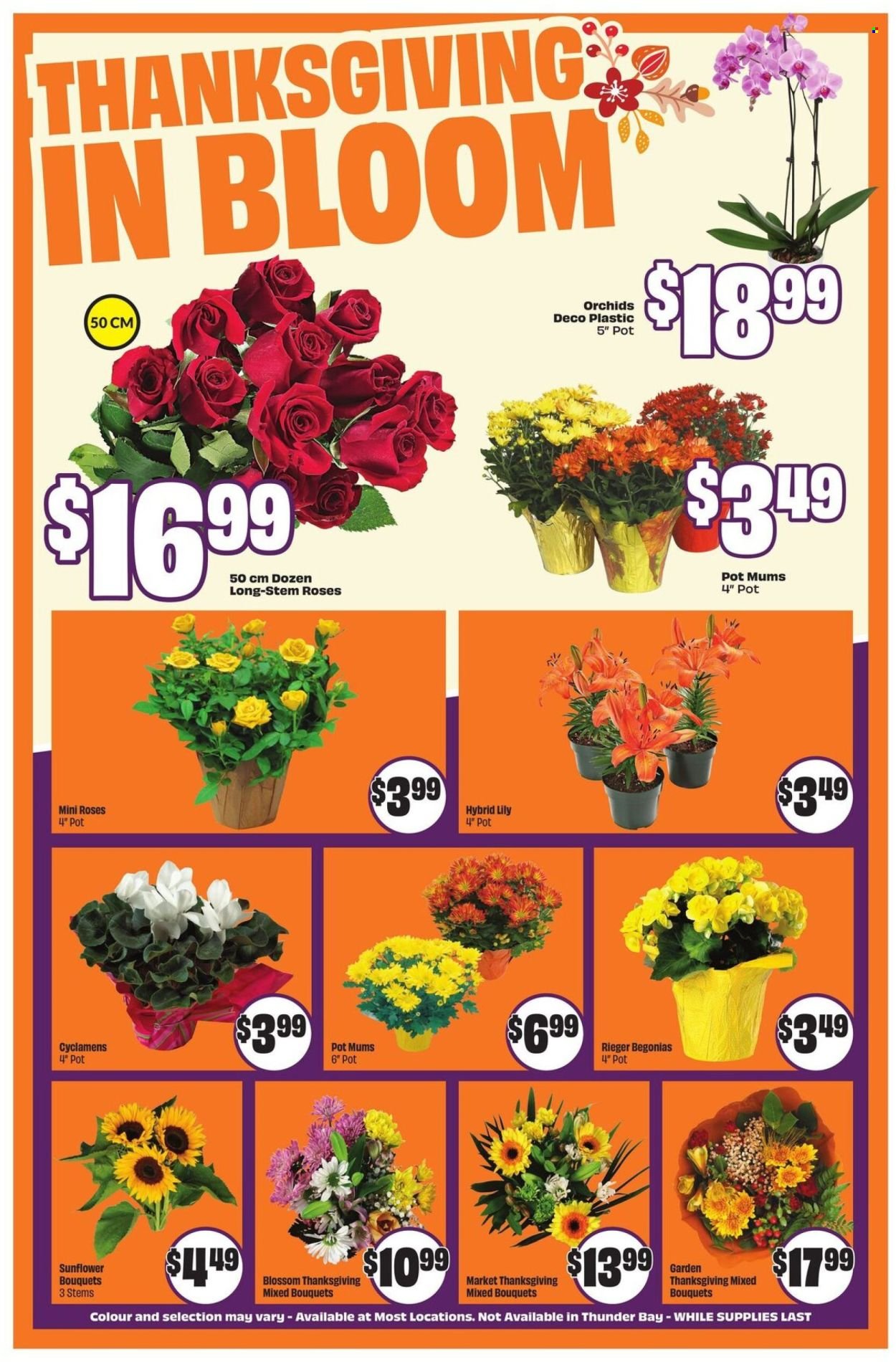 FRESHCO. flyer - Weekly eFlyer