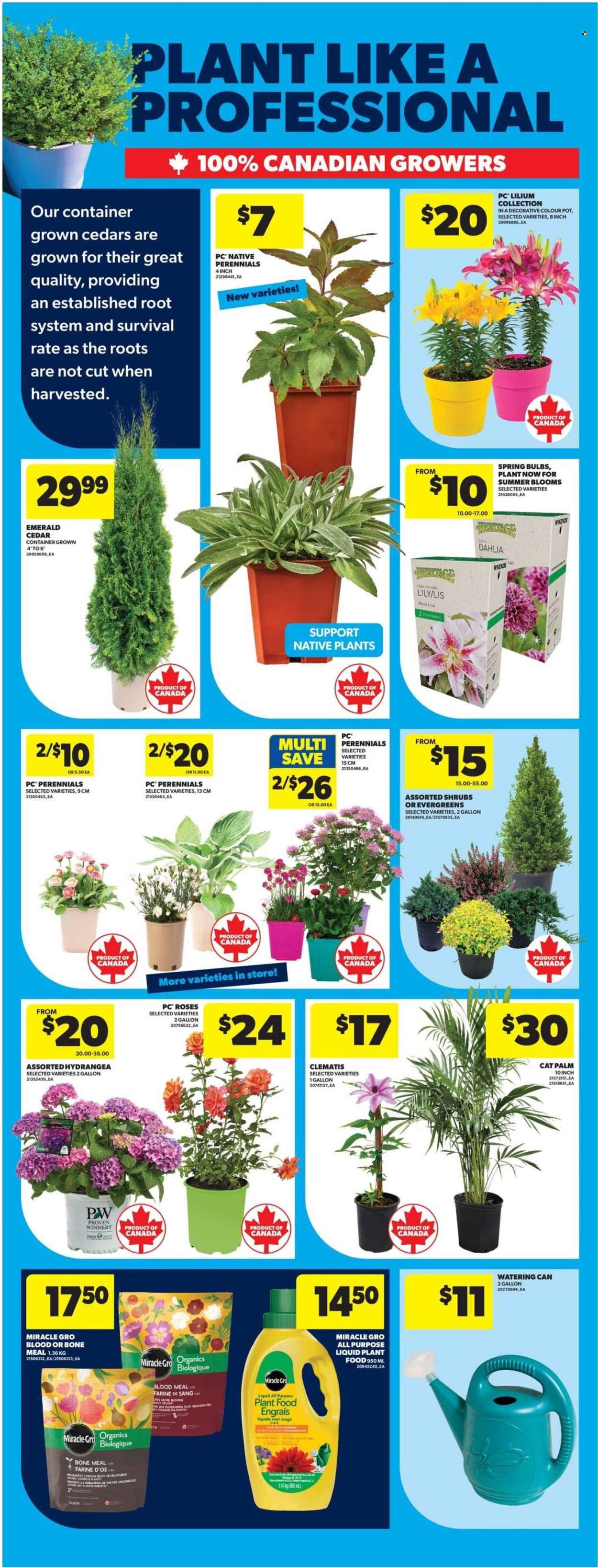 REAL CANADIAN SUPERSTORE flyer - Weekly Flyer