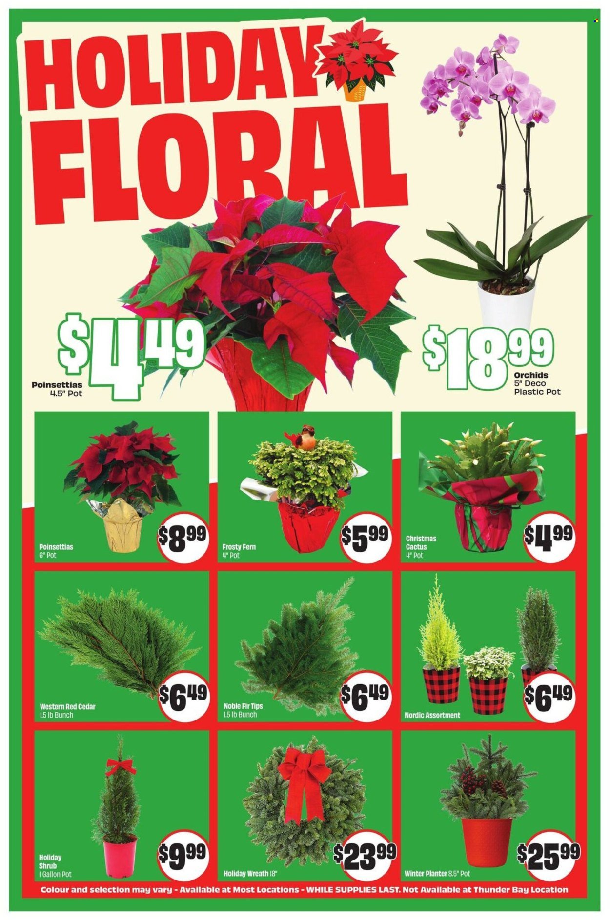 FRESHCO. flyer - Weekly eFlyer (2025-12-04 - 2025-12-10) | 5