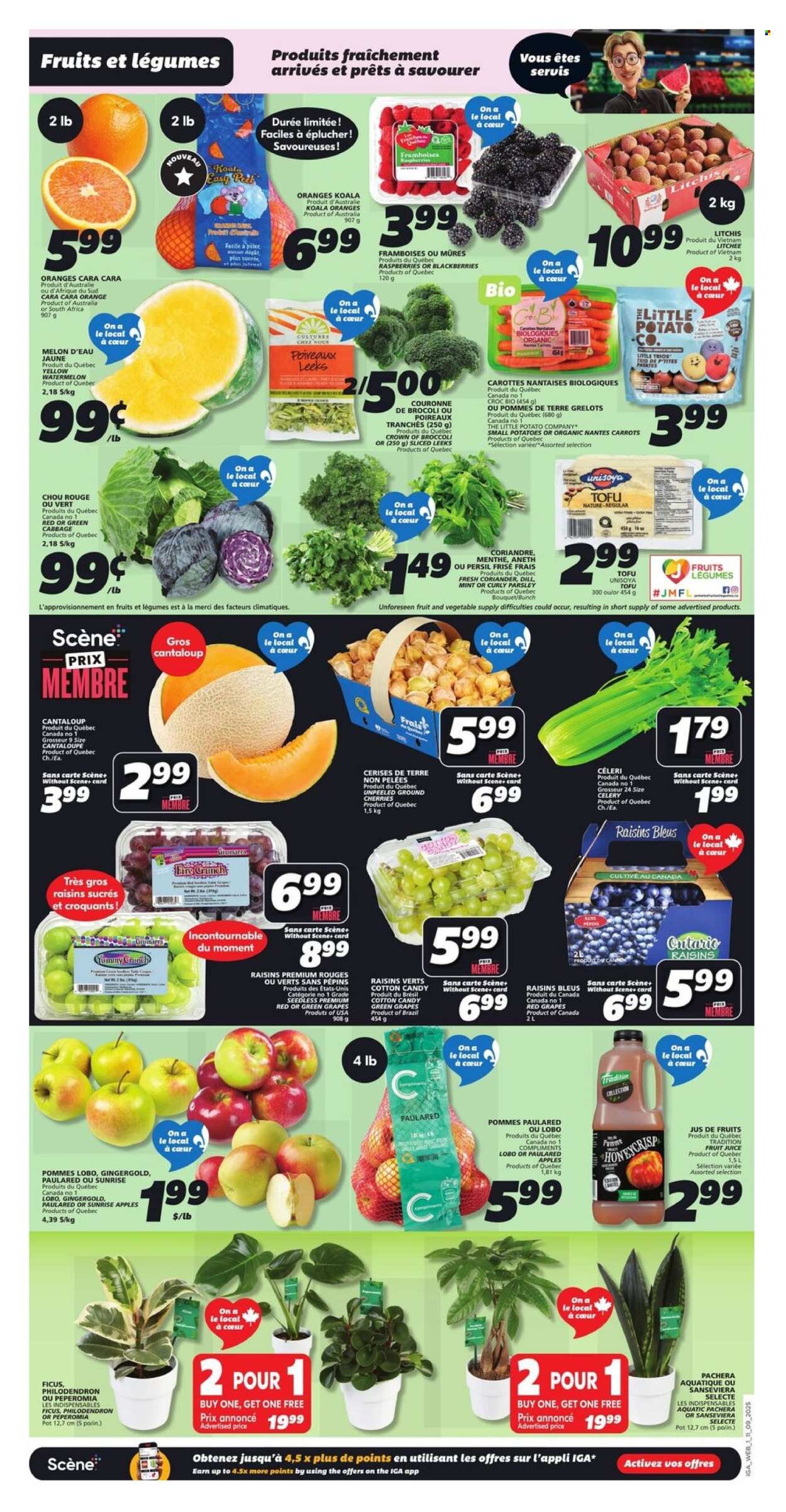 IGA flyer - Weekly Flyer