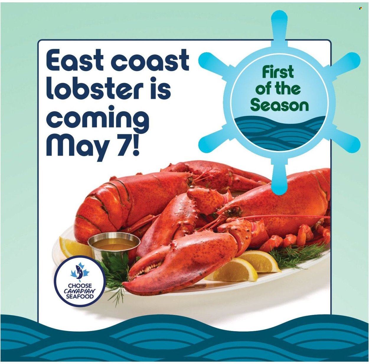 SOBEYS flyer - Weekly eFlyer (2026-04-30 - 2026-05-06) | 17
