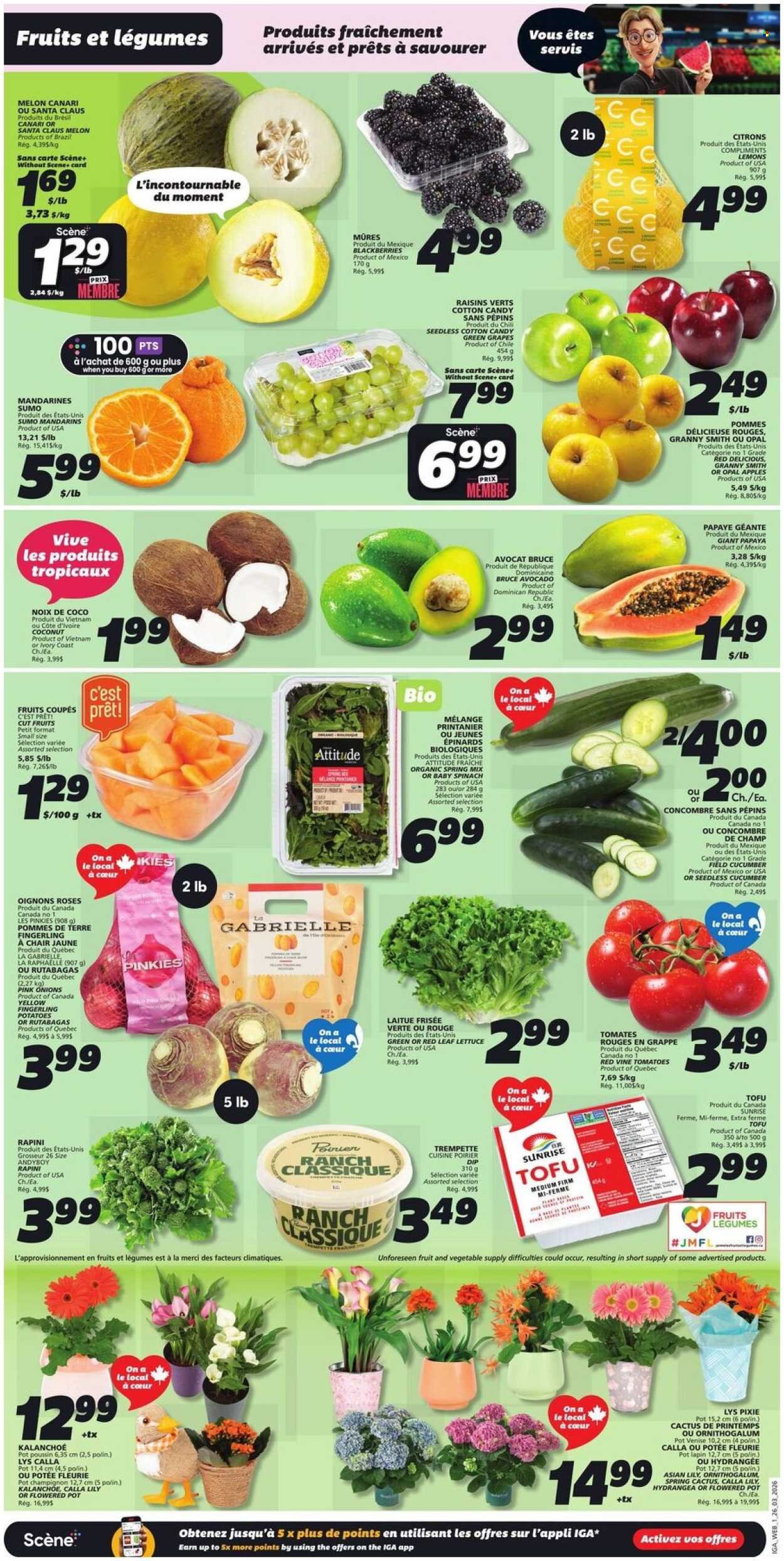 IGA flyer - Weekly eFlyer (2026-03-26 - 2026-04-01) | 3