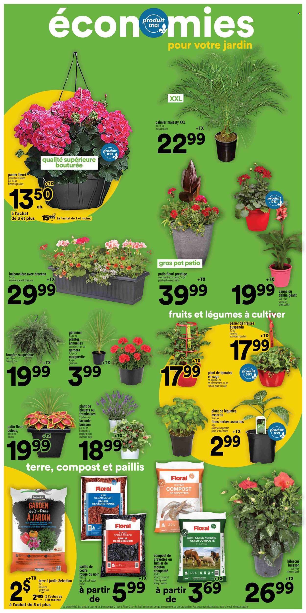 SUPER C flyer - Weekly Flyer (2026-05-21 - 2026-05-27) | 13