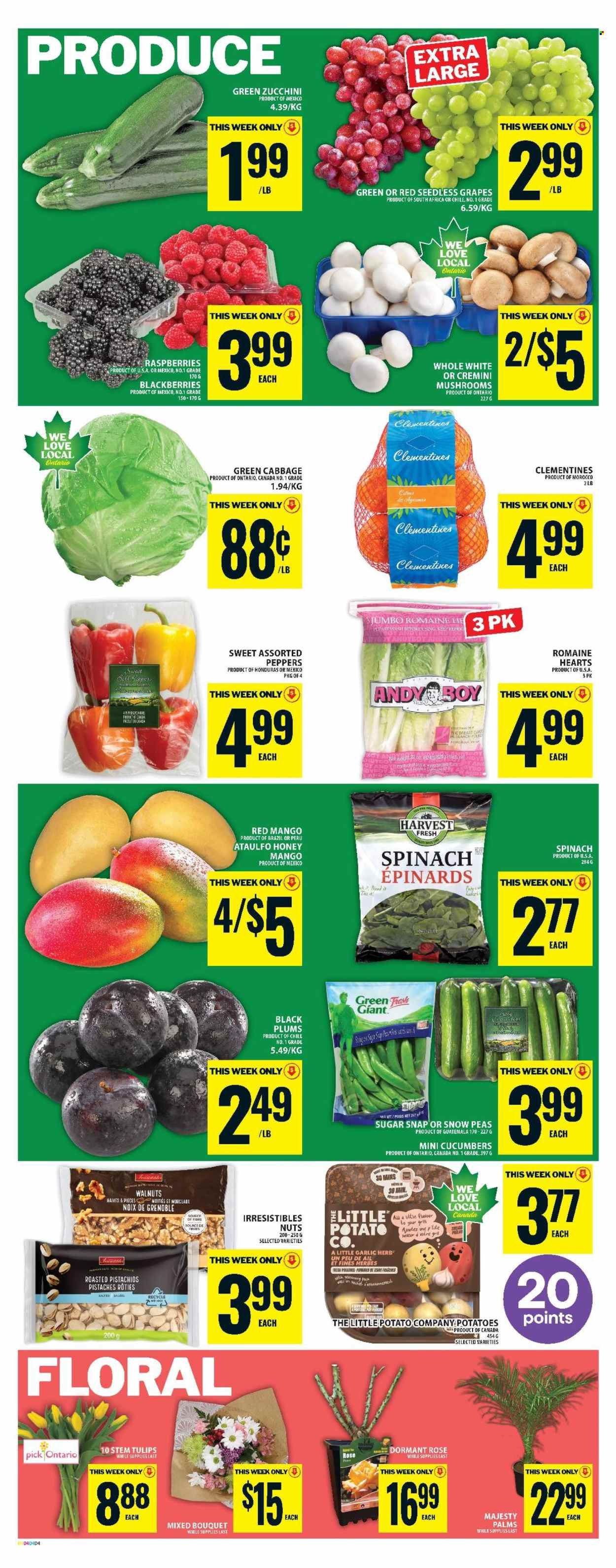 FOOD BASICS flyer - Weekly Flyer (2026-04-23 - 2026-04-29) | 6