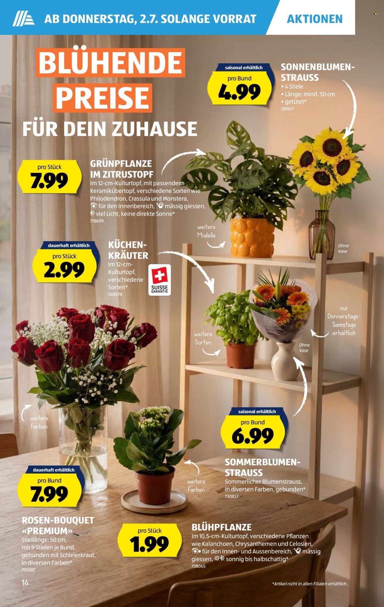 ALDI Prospekt - Vom 2.7.2026