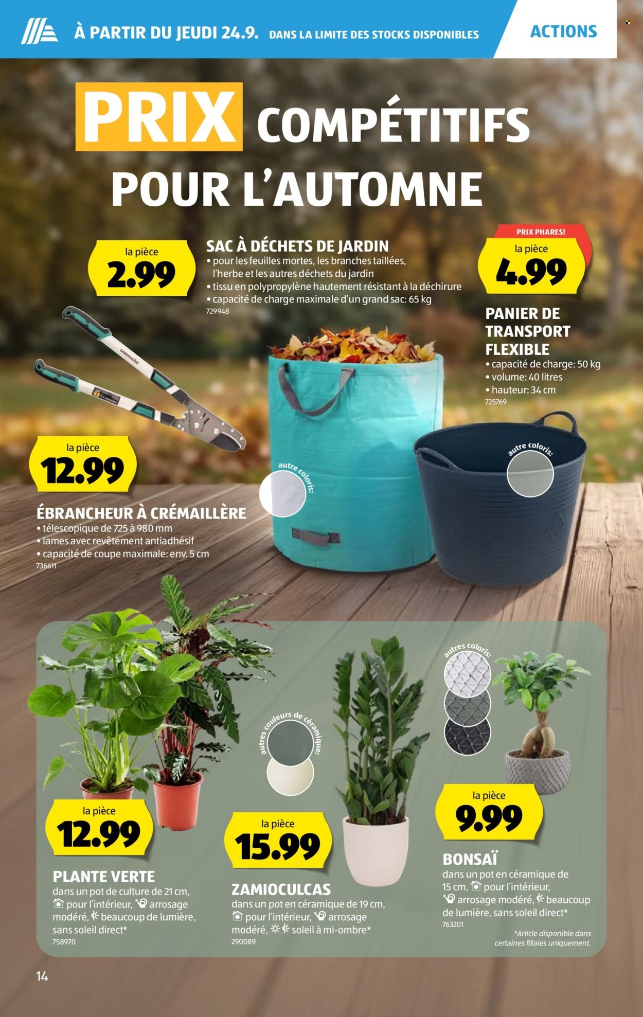 ALDI Prospekt - Vom 24.9.2026