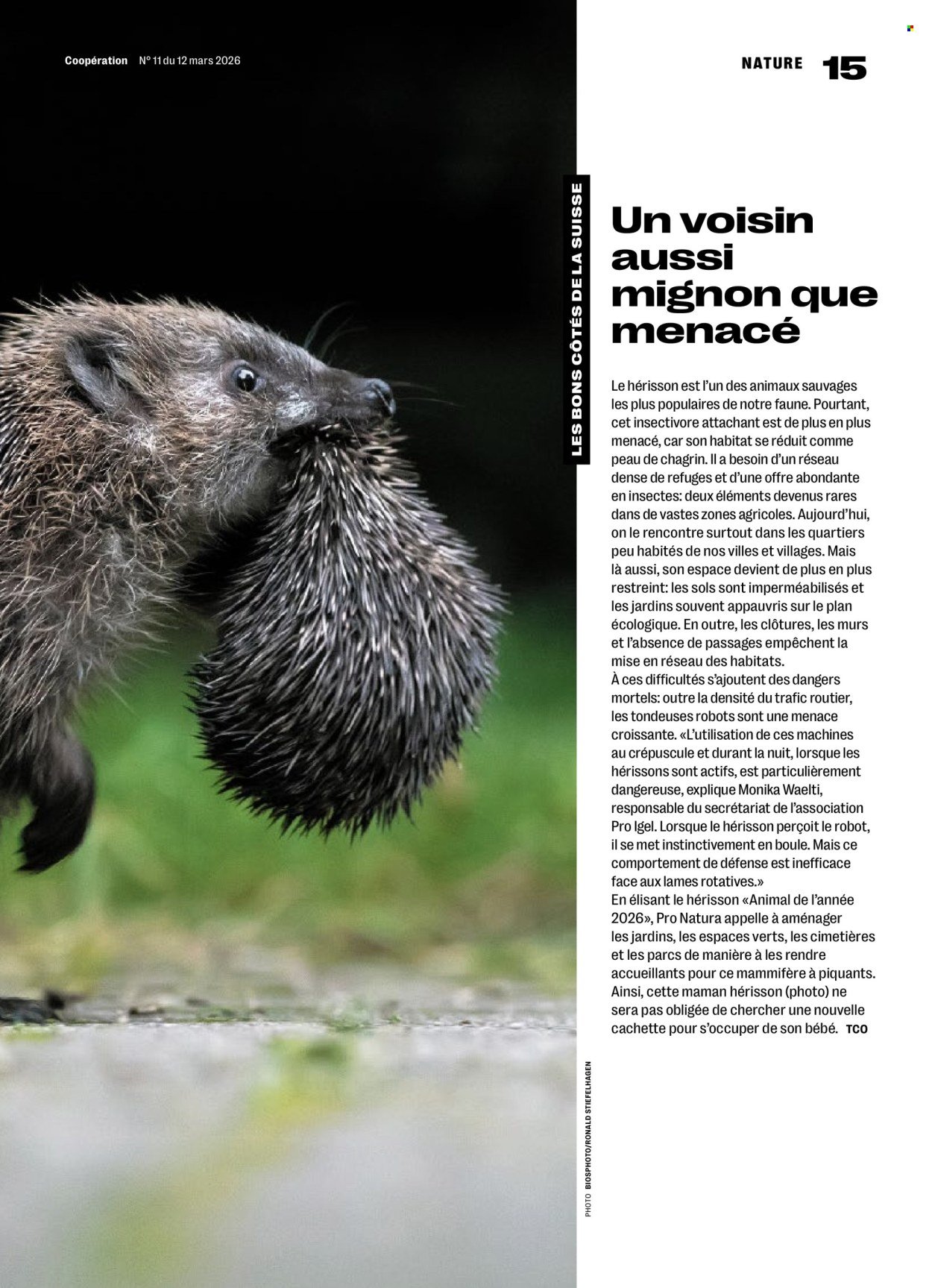 COOP Prospekt - COOPÉRATION (2026-03-12 - 2026-03-18)