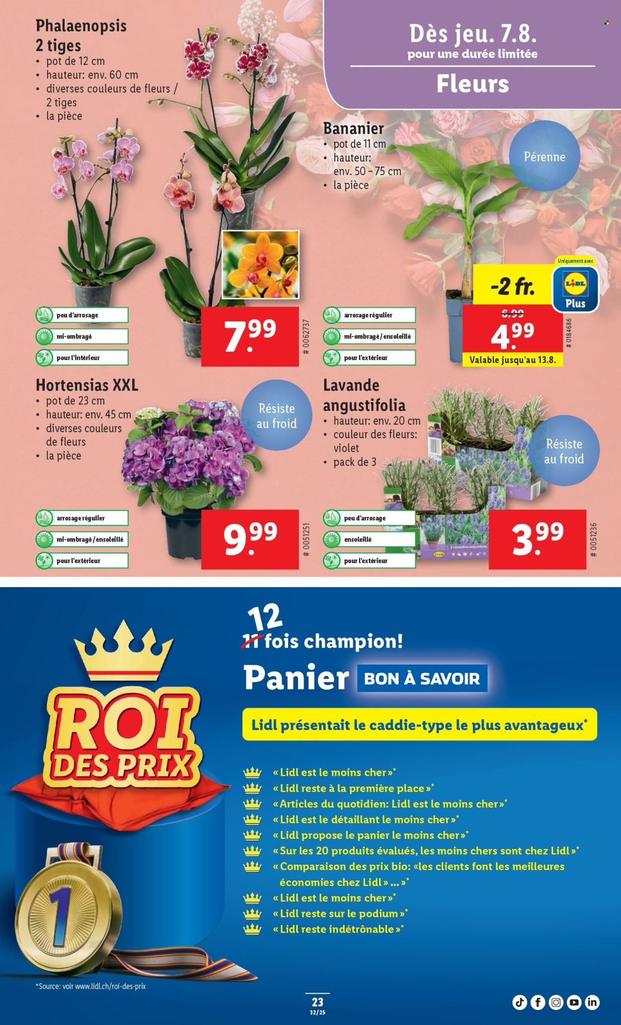 LIDL Prospekt - SEM 32 (2025-08-07 - 2025-08-13)