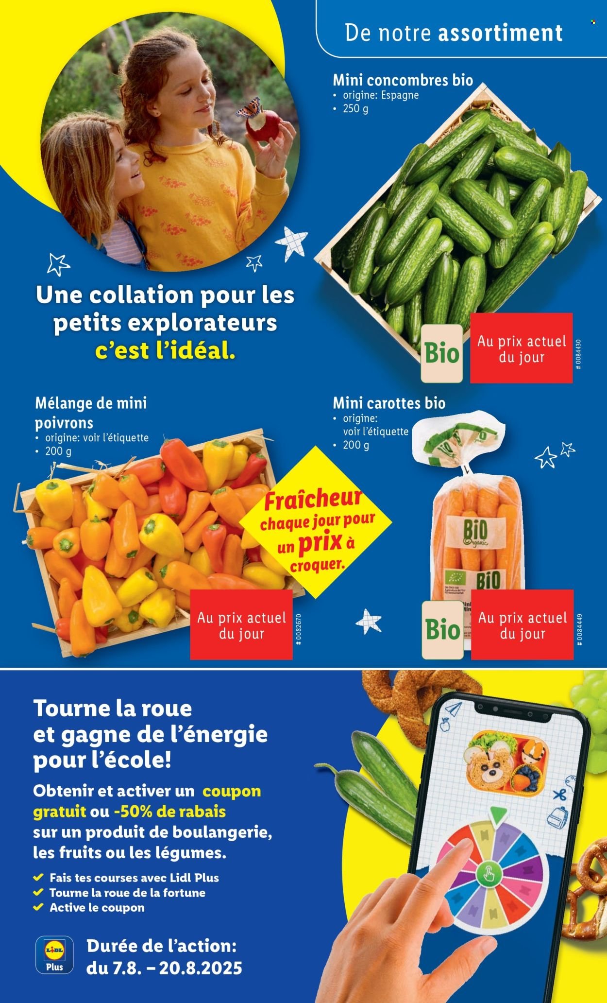 LIDL Prospekt - SEM 32 (2025-08-07 - 2025-08-13)