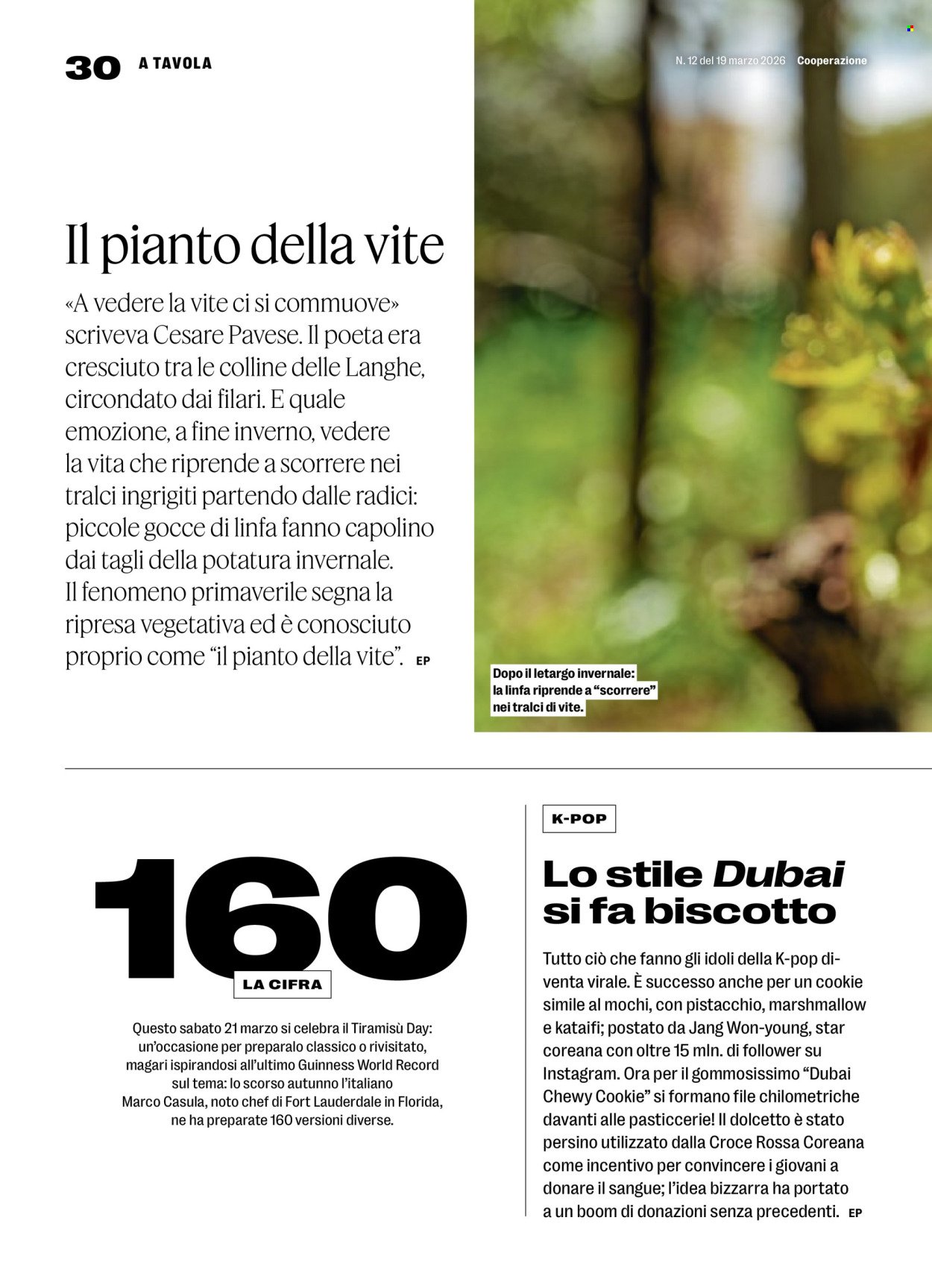 COOP Prospekt - COOPERAZIONE (2026-03-19 - 2026-03-25)