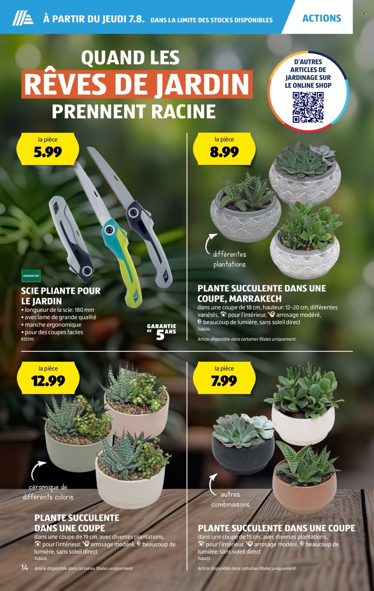 ALDI Prospekt - Vom 7.8.2025 (2025-08-07 - 2025-08-13)