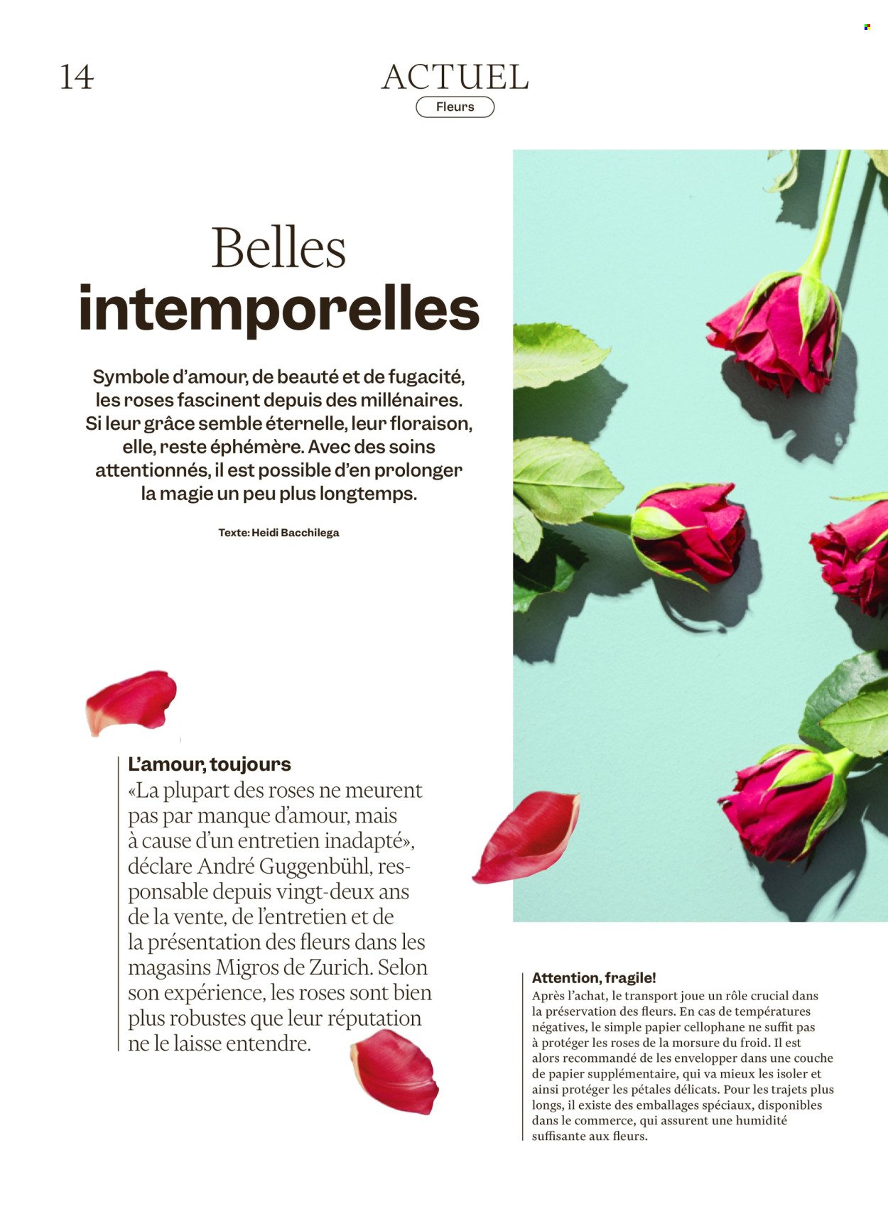 MIGROS Prospekt - Vom 4.2.2026 (2026-02-04 - 2026-02-12)