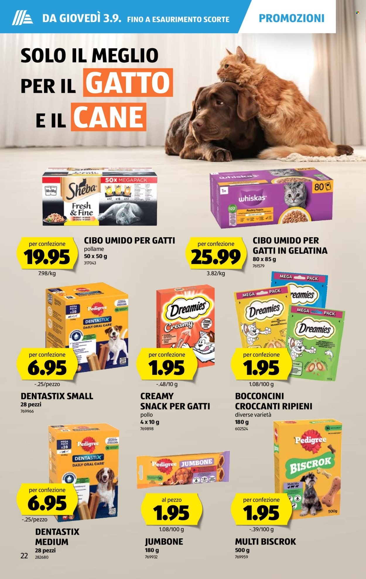 ALDI Prospekt - Vom 3.9.2026