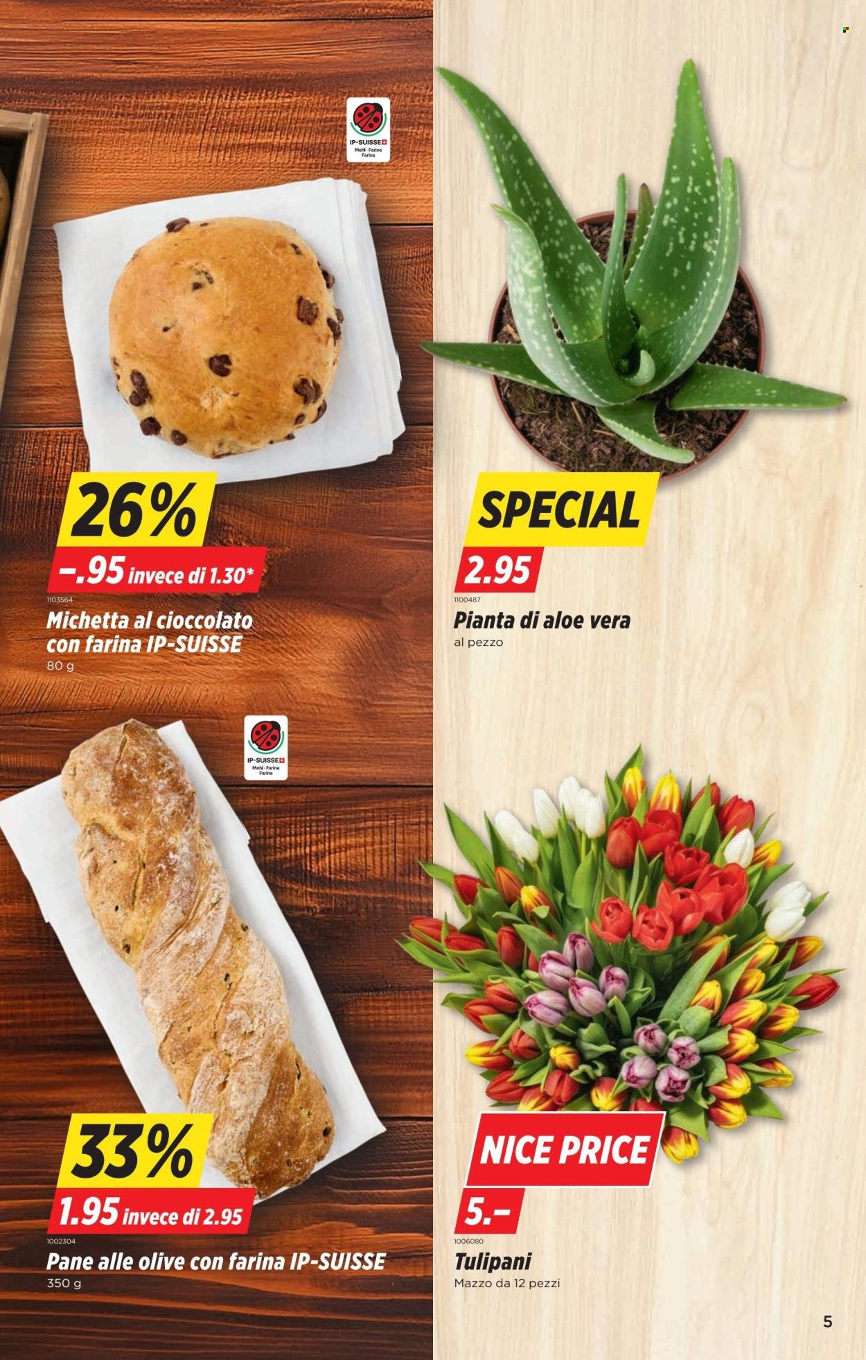 DENNER Prospekt - S08 (2026-02-19 - 2026-02-25)