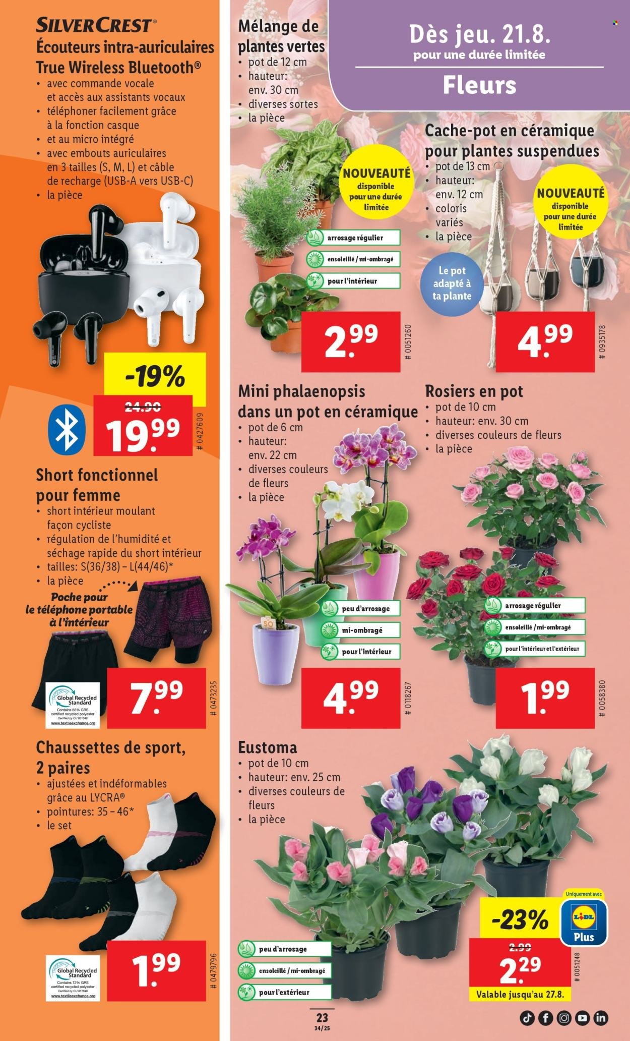 LIDL Prospekt - SEM 34 (2025-08-21 - 2025-08-27)
