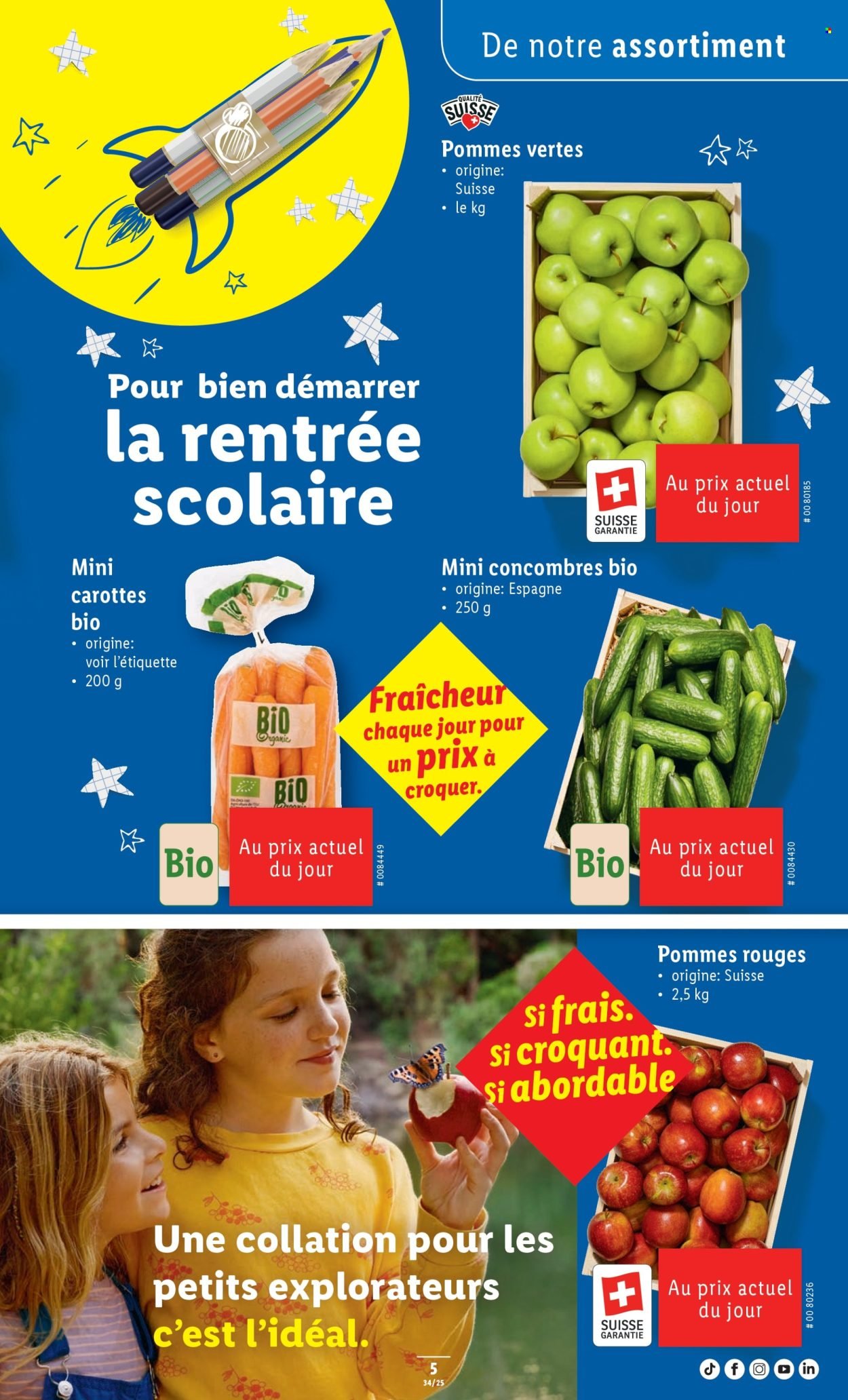 LIDL Prospekt - SEM 34 (2025-08-21 - 2025-08-27)