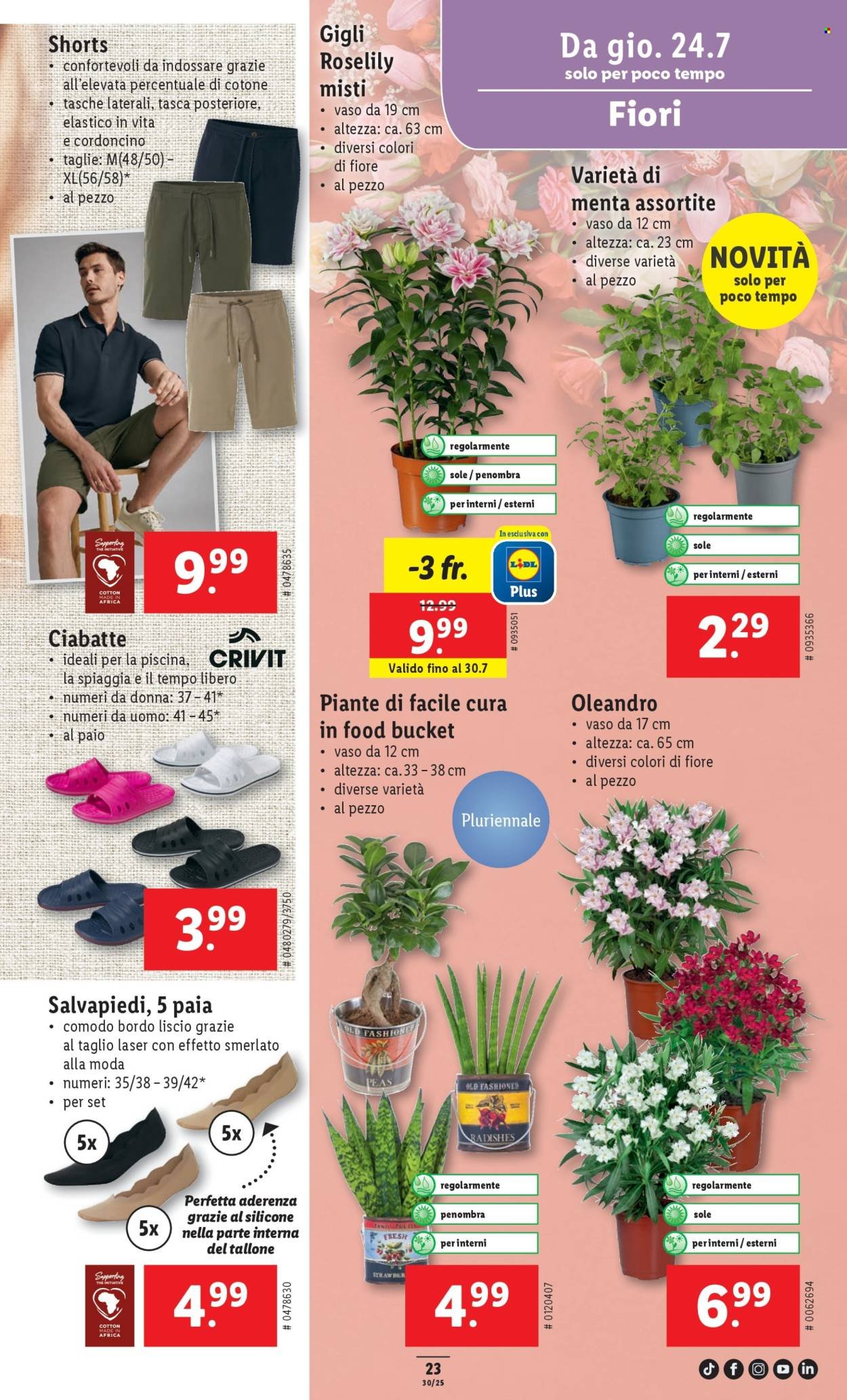 LIDL Prospekt - S 30 (2025-07-24 - 2025-07-30)