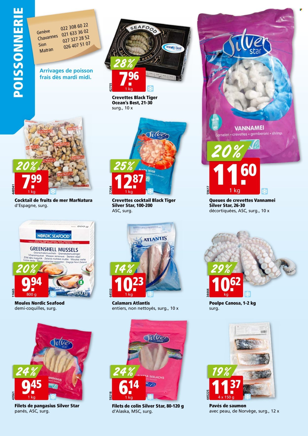 ALIGRO Prospekt - KW 32 (2025-08-04 - 2025-08-09)