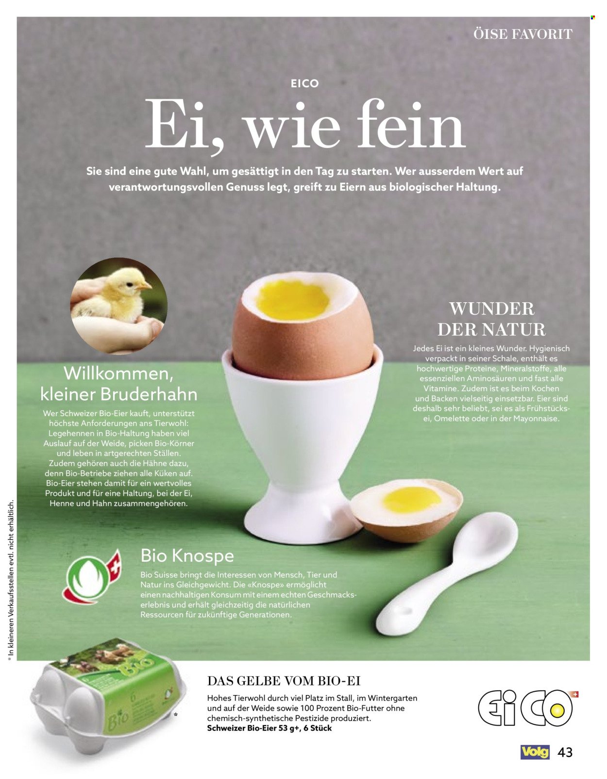 VOLG Prospekt - Vom 1.2.2026 (2026-02-01 - 2026-02-28)