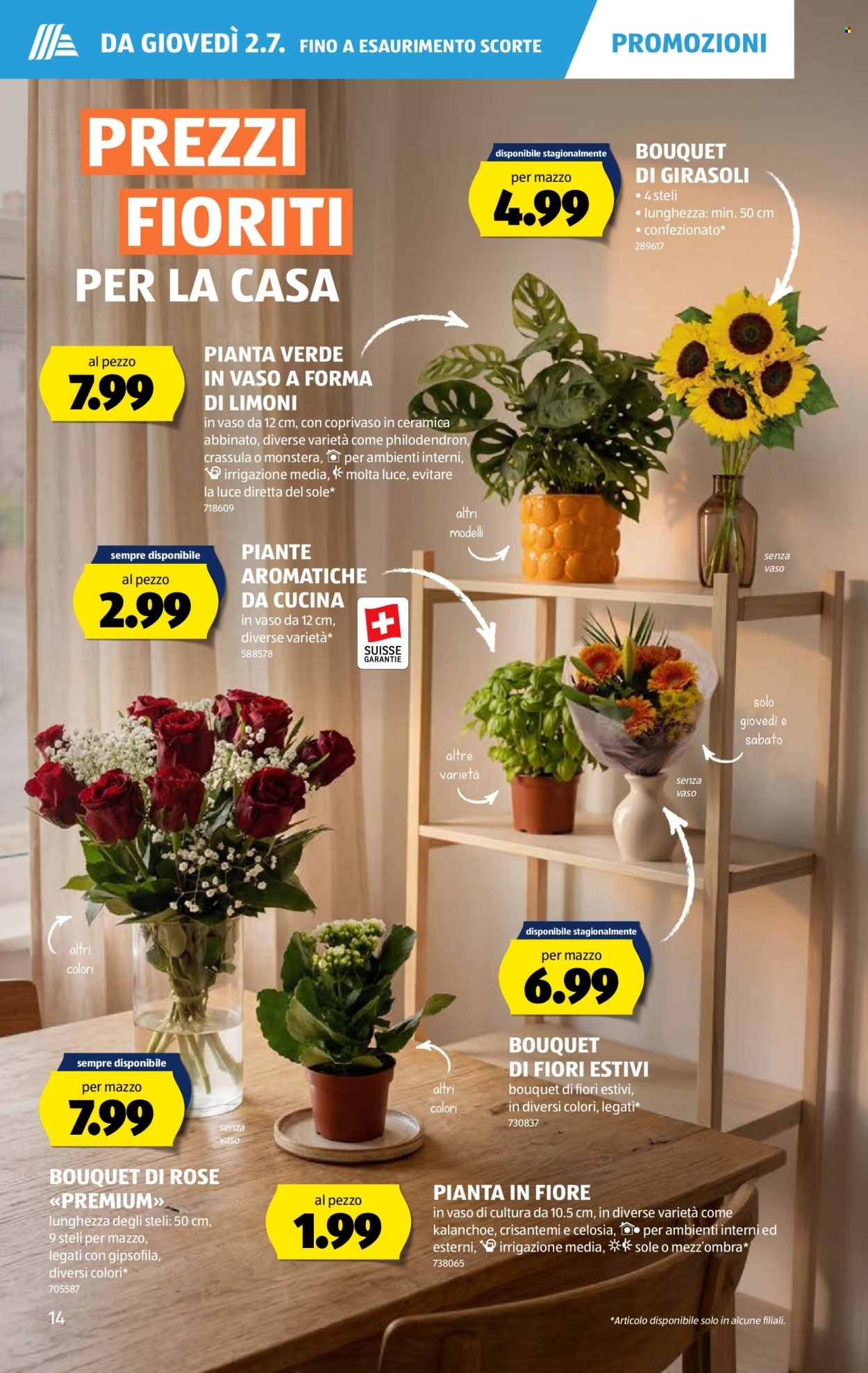 ALDI Prospekt - Vom 2.7.2026