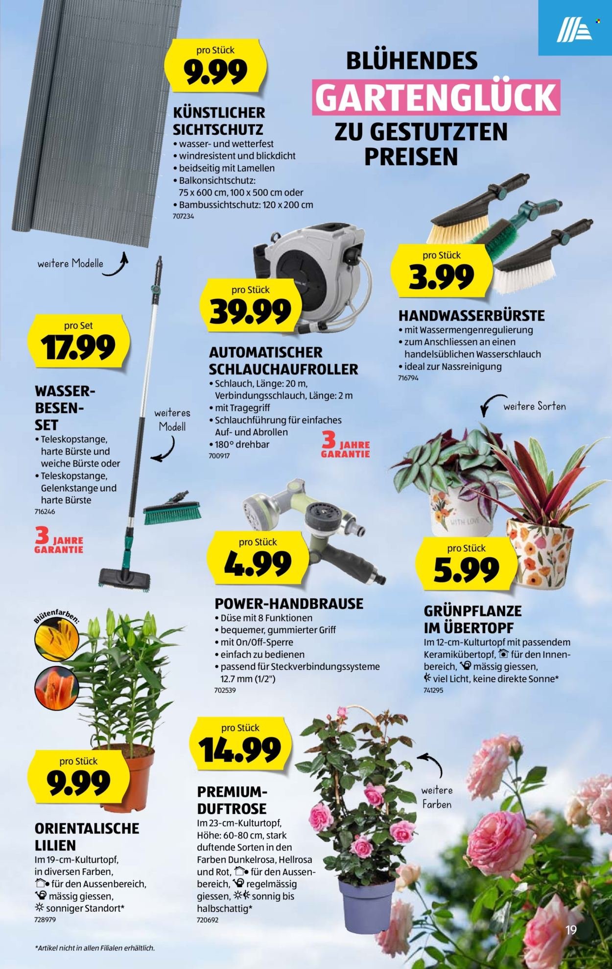 ALDI Prospekt - Vom 4.6.2026
