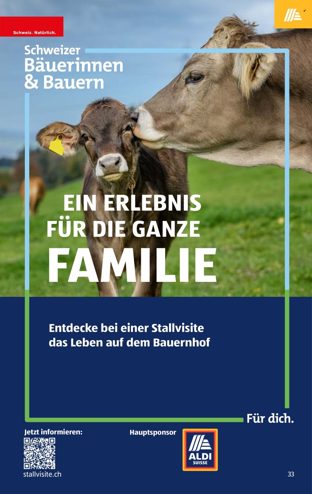 ALDI Prospekt - Vom 4.6.2026