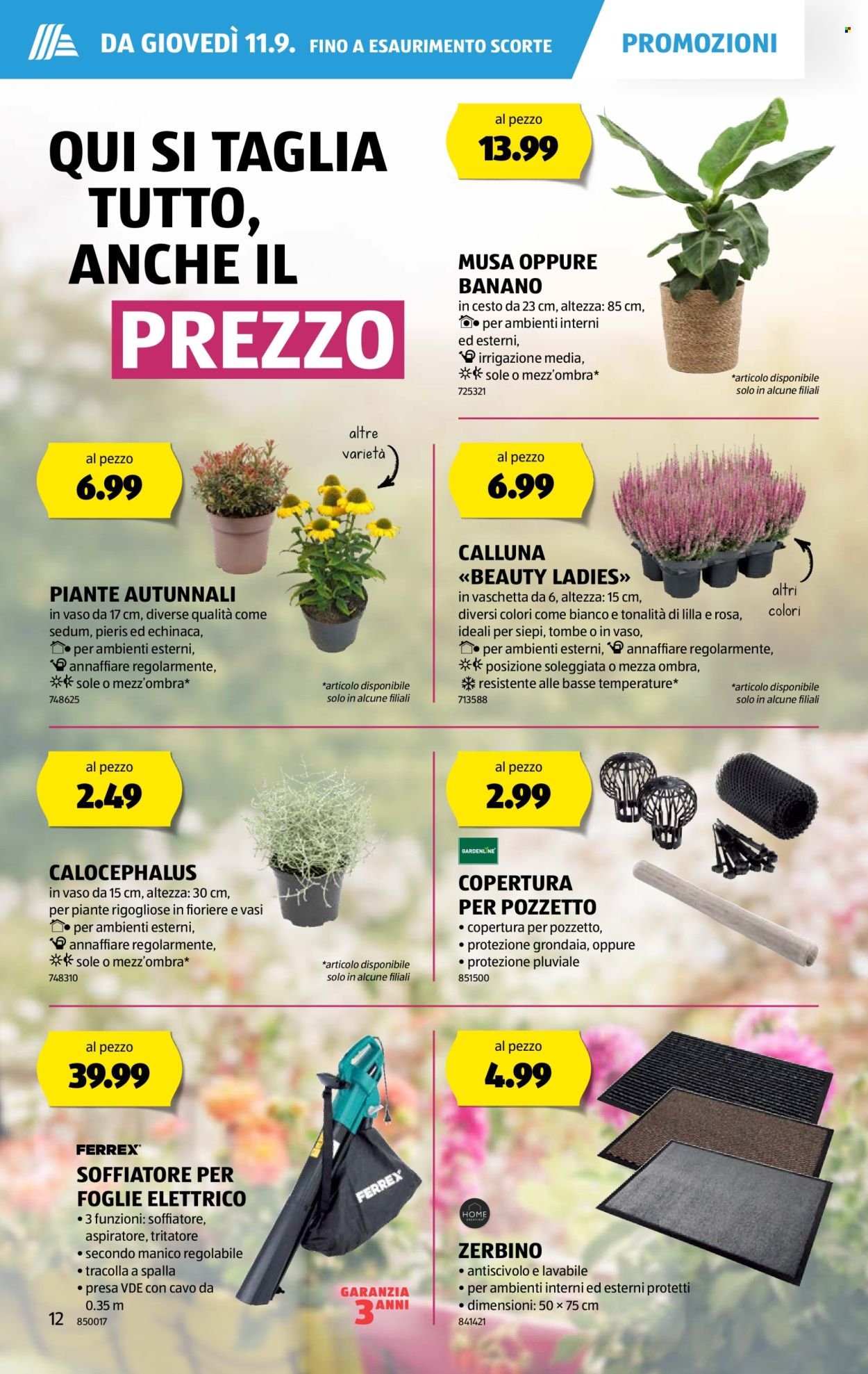 ALDI Prospekt - Vom 11.9.2025 (2025-09-11 - 2025-09-17)