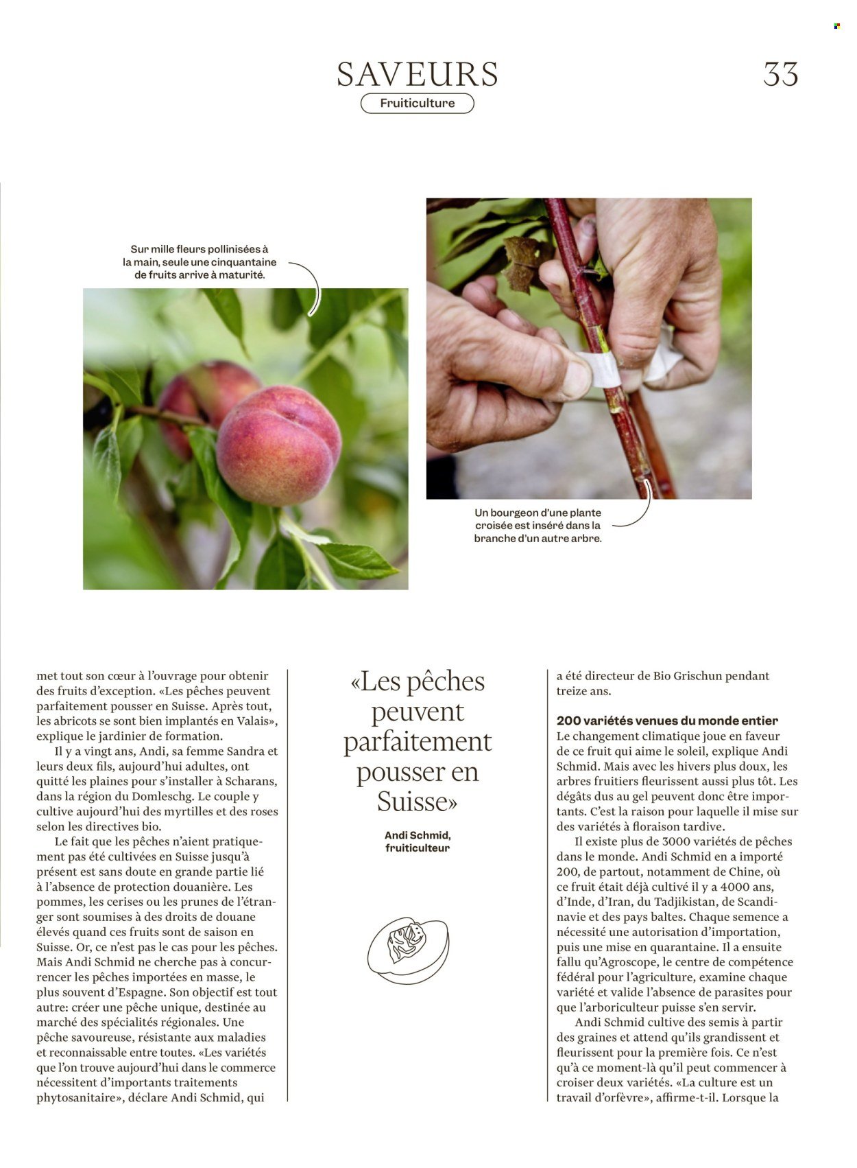 MIGROS Prospekt - Vom 12.8.2025 (2025-08-12 - 2025-08-18)