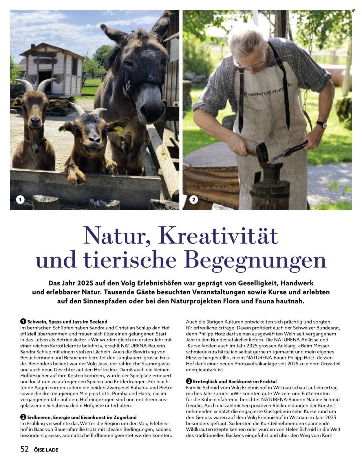 VOLG Prospekt - Vom 1.1.2026 (2026-01-01 - 2026-01-31)